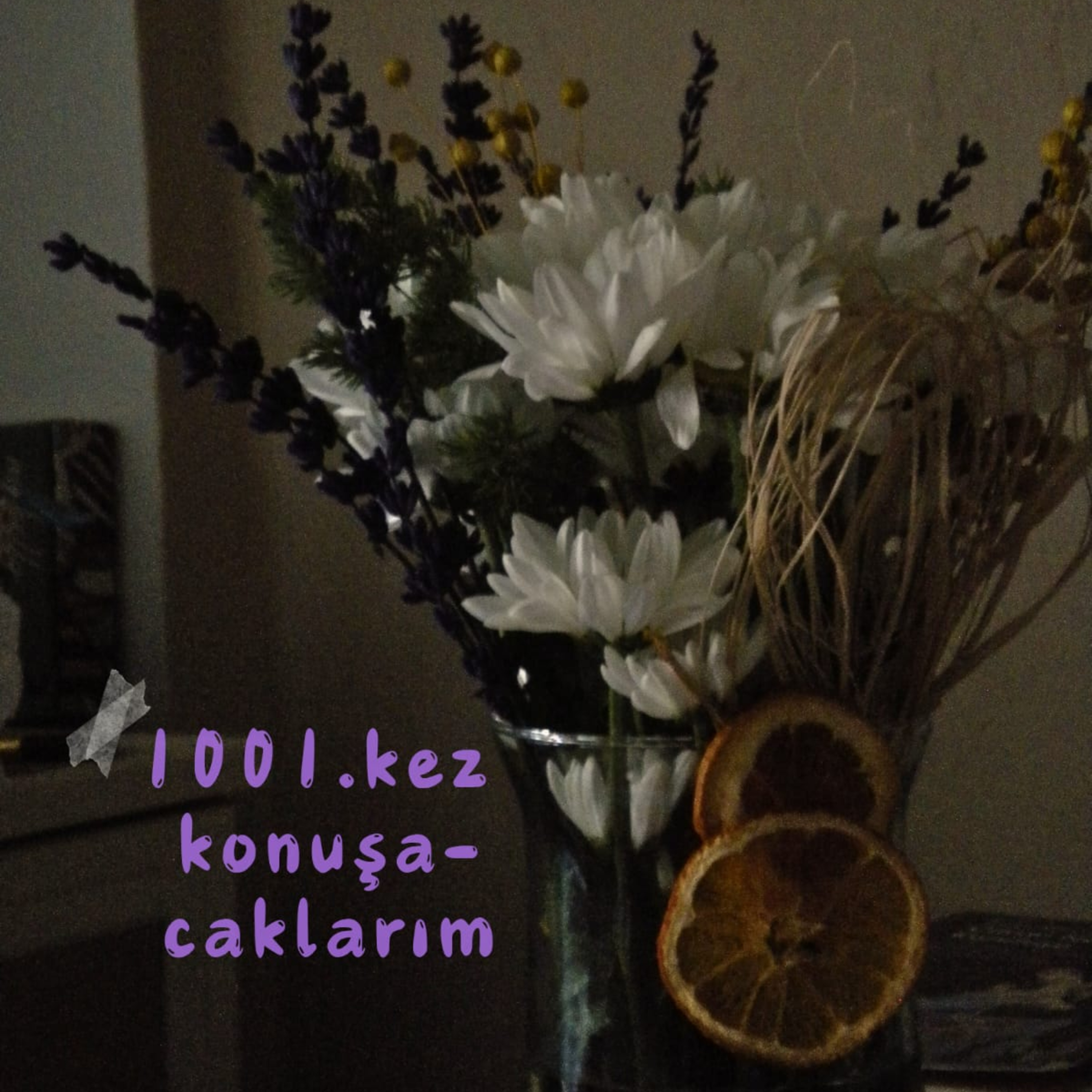keşke duygularımı yok edebilsem