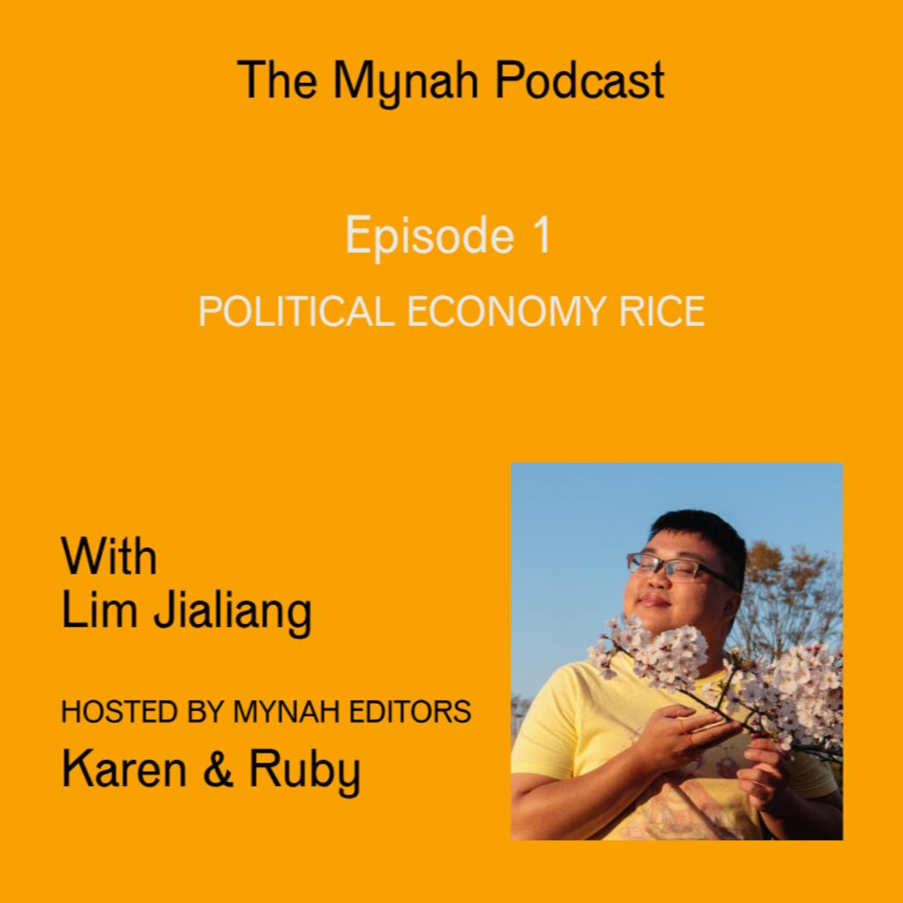 Political Economy Rice with Lim Jialiang