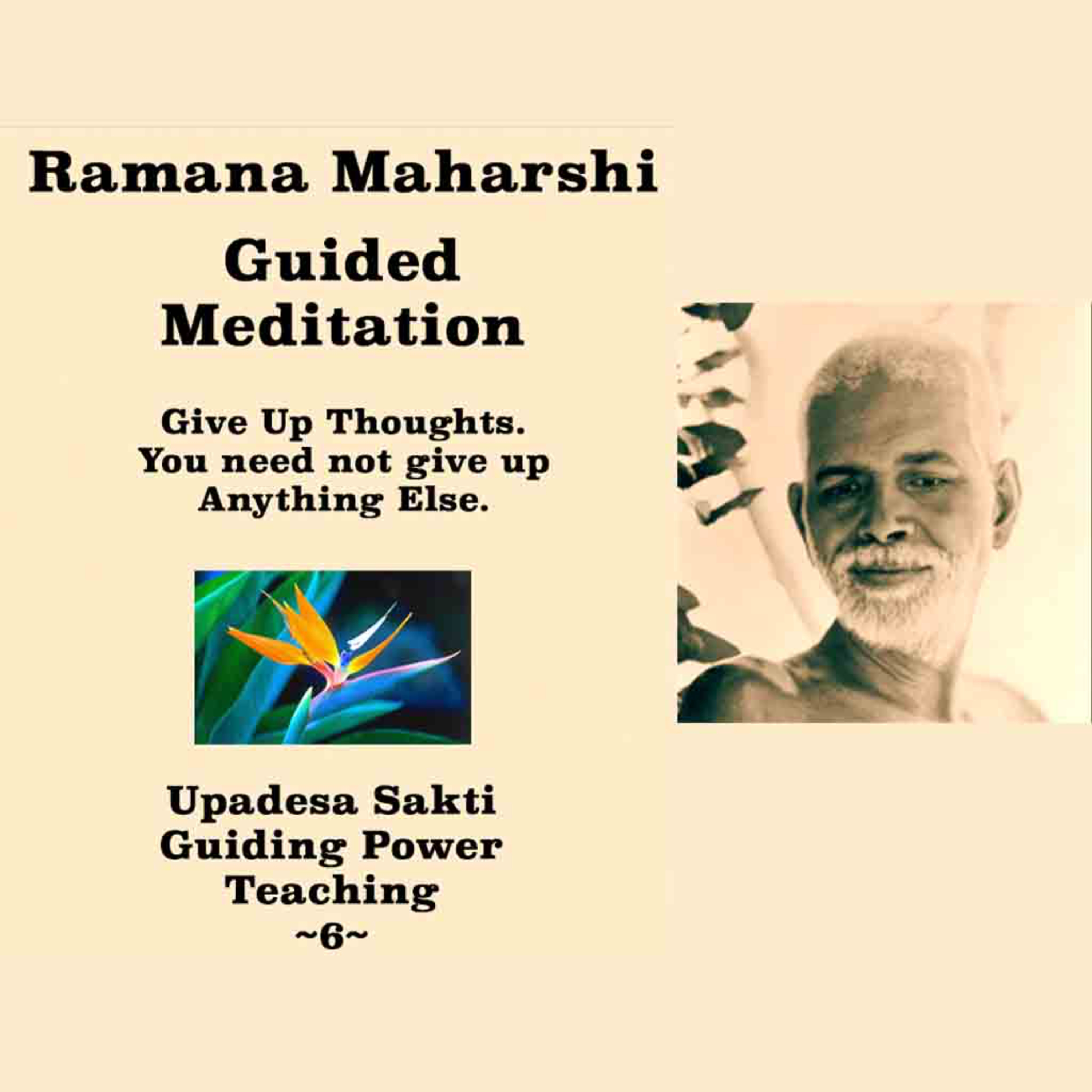Ramana Maharshi | Guided Meditation(6) Give Up Thoughts, No Need To Give Up Anything Else (No Music) episode artwork