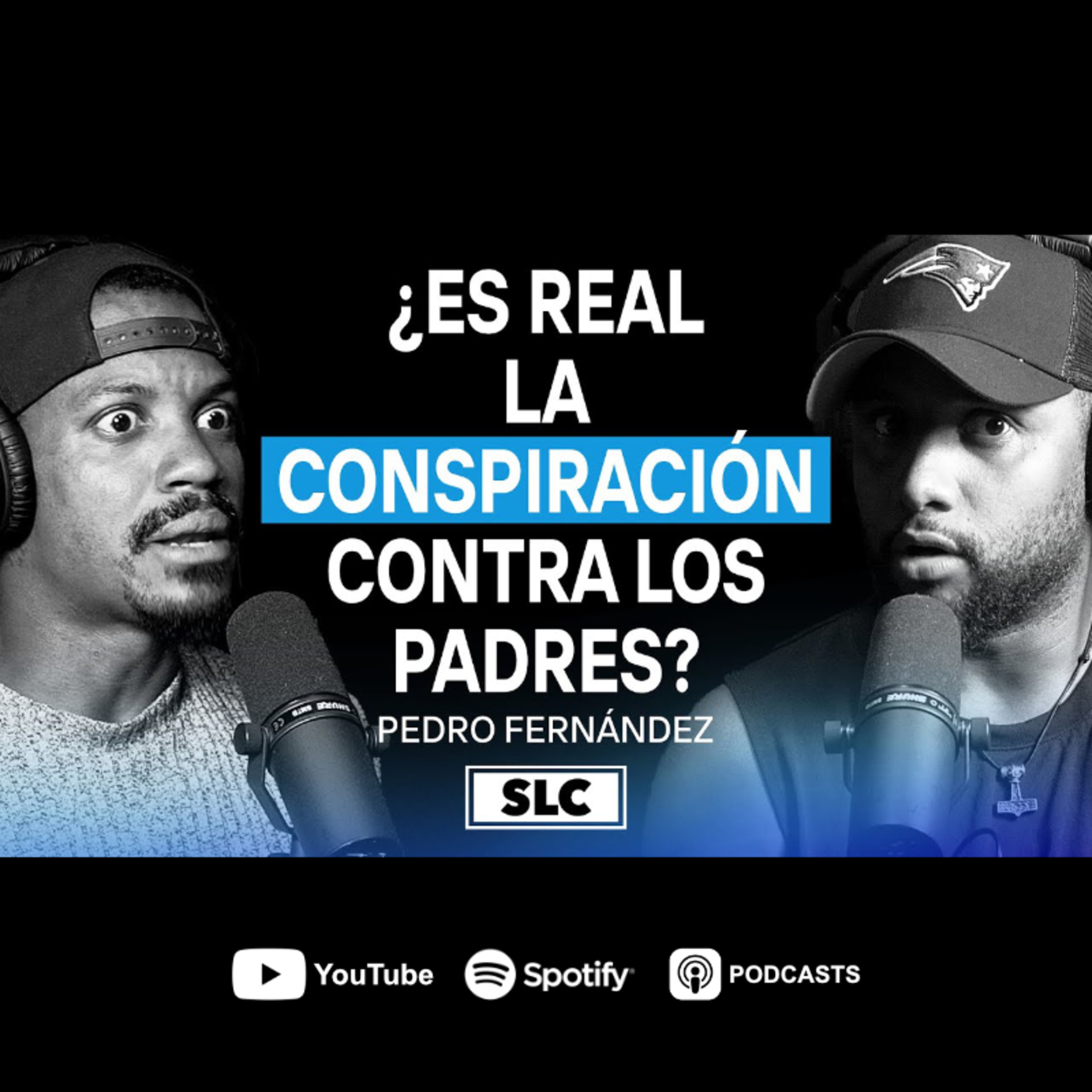#48 - ¿Es Real la Conspiración contra los Padres Hoy en Día? Pedro Fernández episode artwork