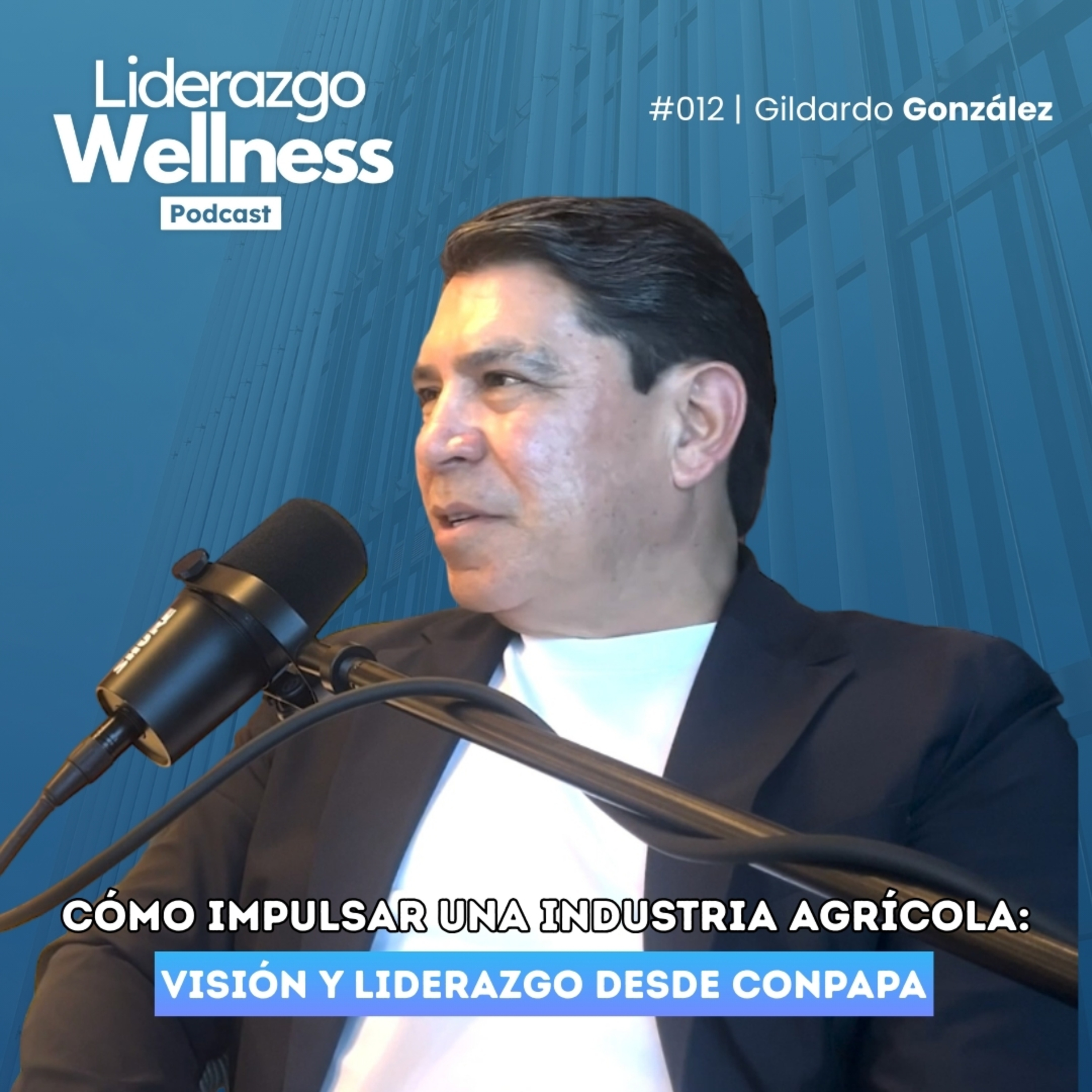 Liderazgo Wellness