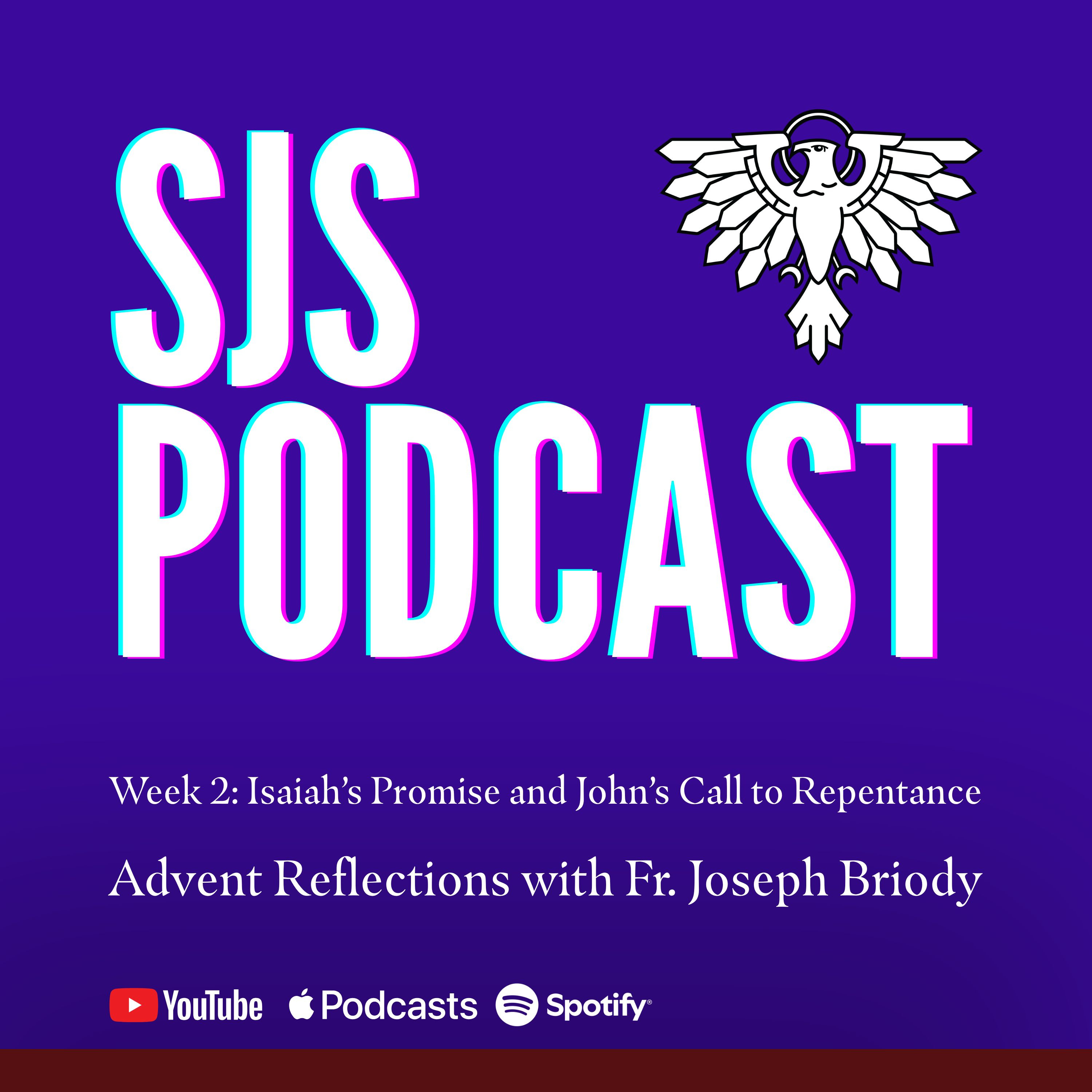 Isaiah’s Promise and John’s Call to Repentance | Advent Reflection with Fr. Joseph Briody | Season 2, Episode 3 episode artwork
