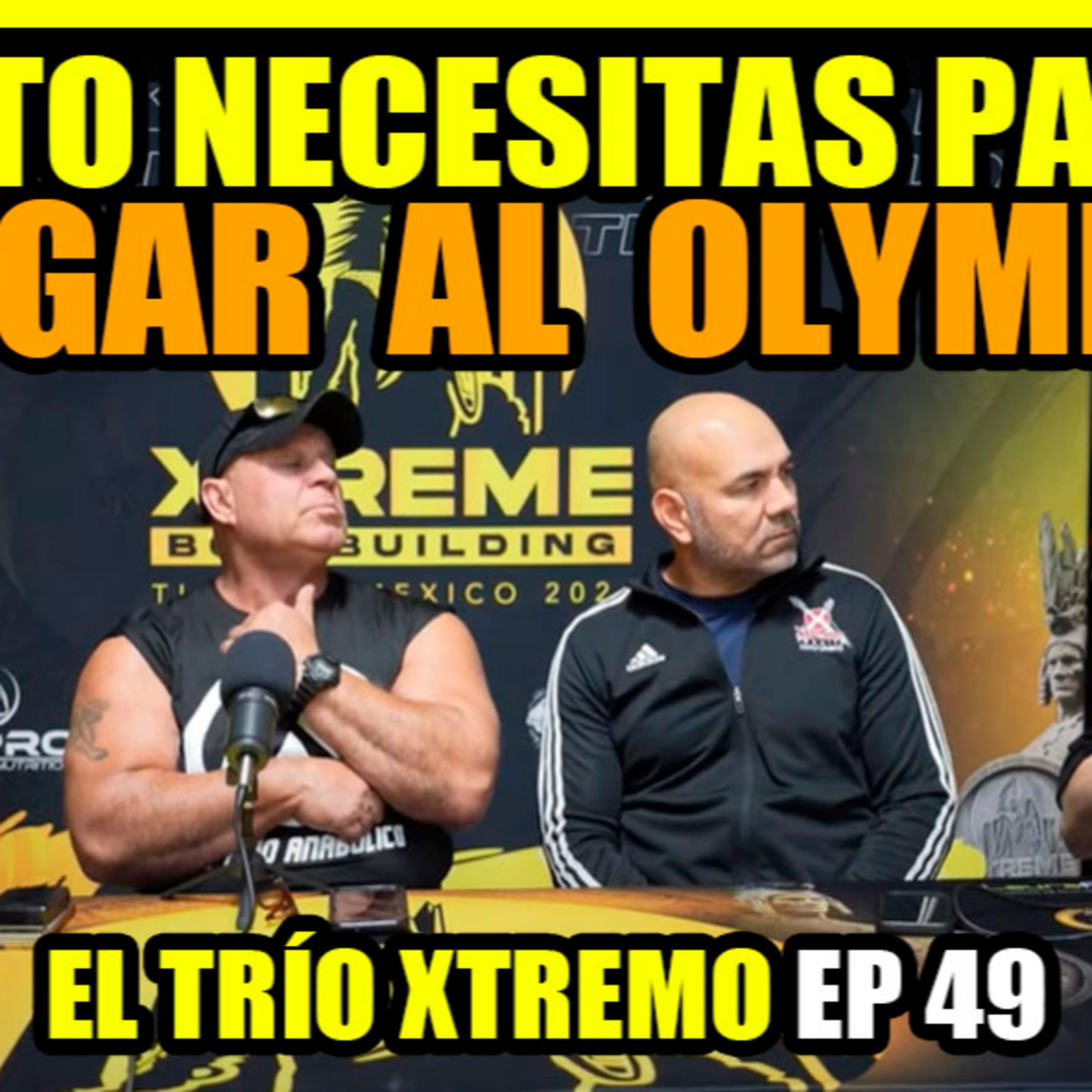 INSTITUTO ALPHA FITNESS