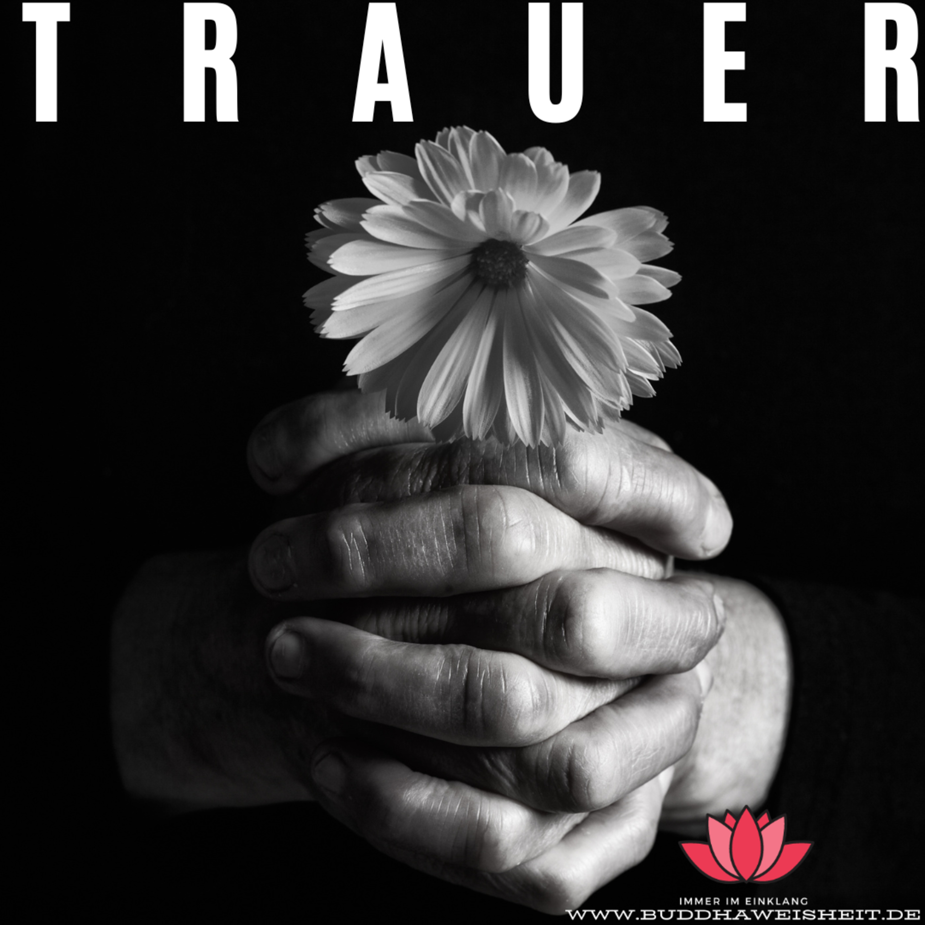 buddhaweisheit