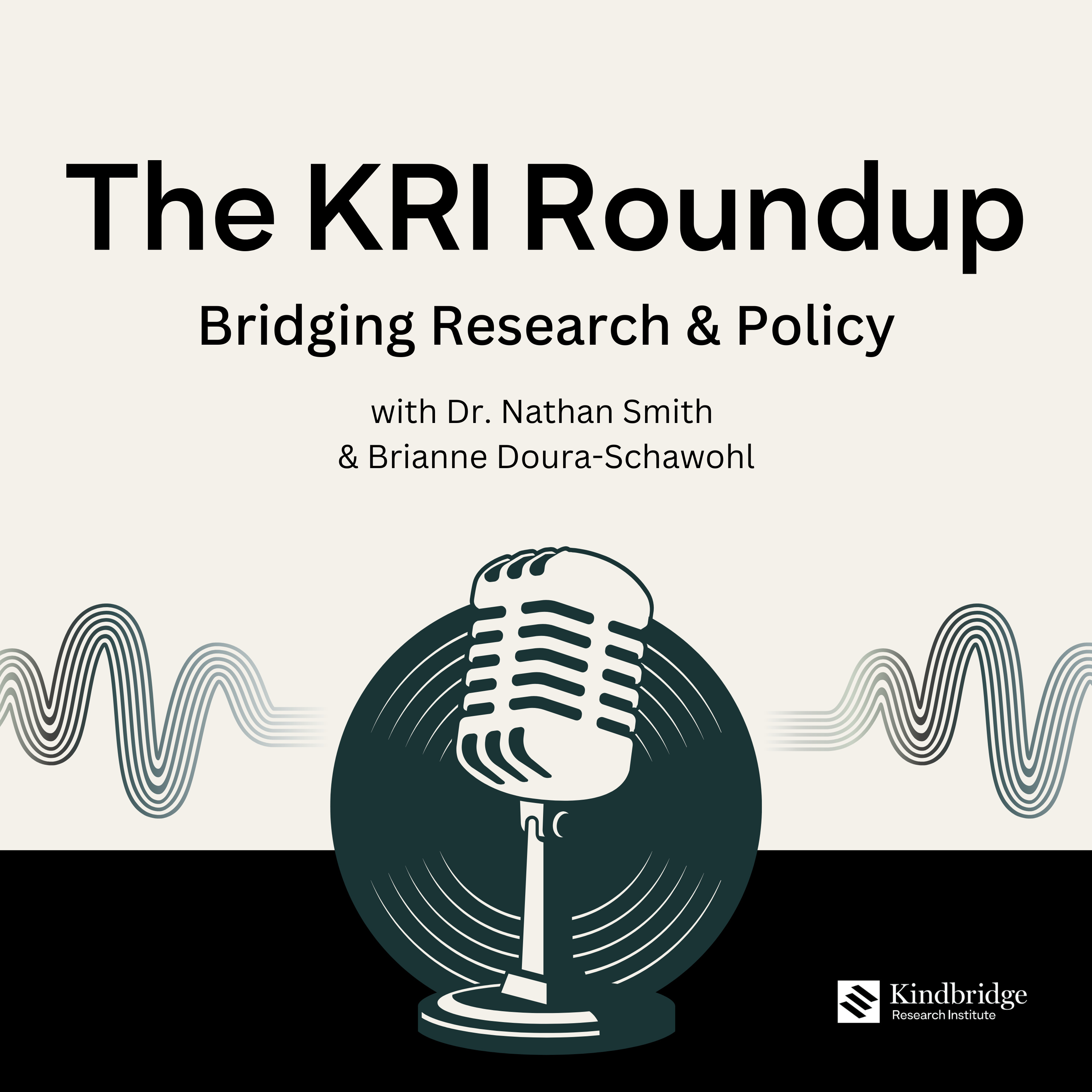 Episode 1: The KRI Roundup - Bridging Research and Policy episode artwork
