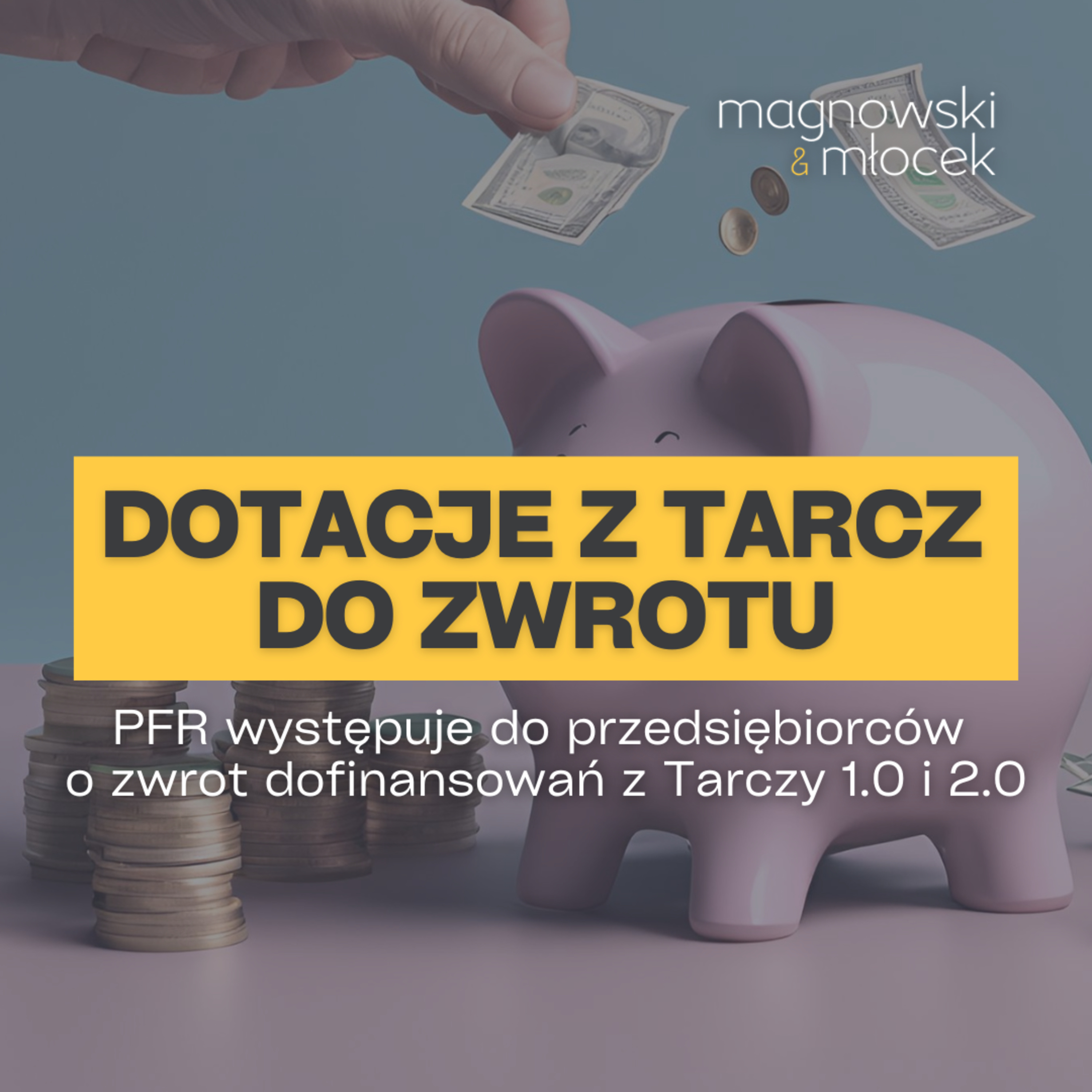Magnowski i Młocek