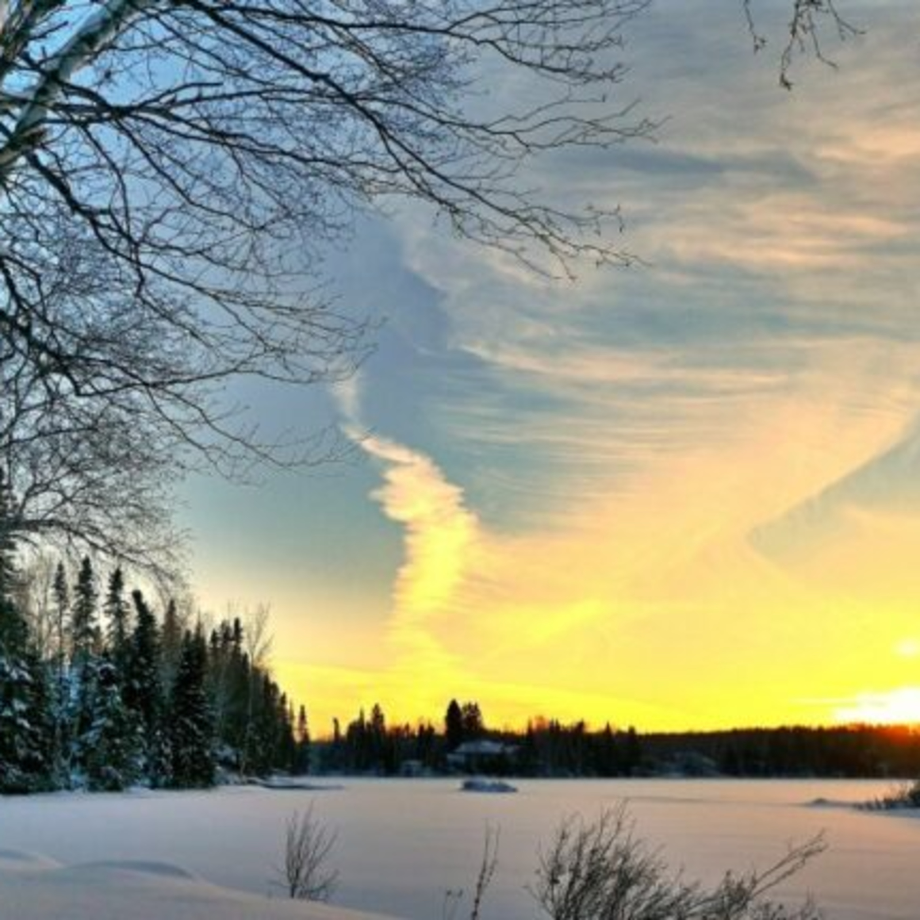 Landschaft des Wissens I Wissenswertes hören