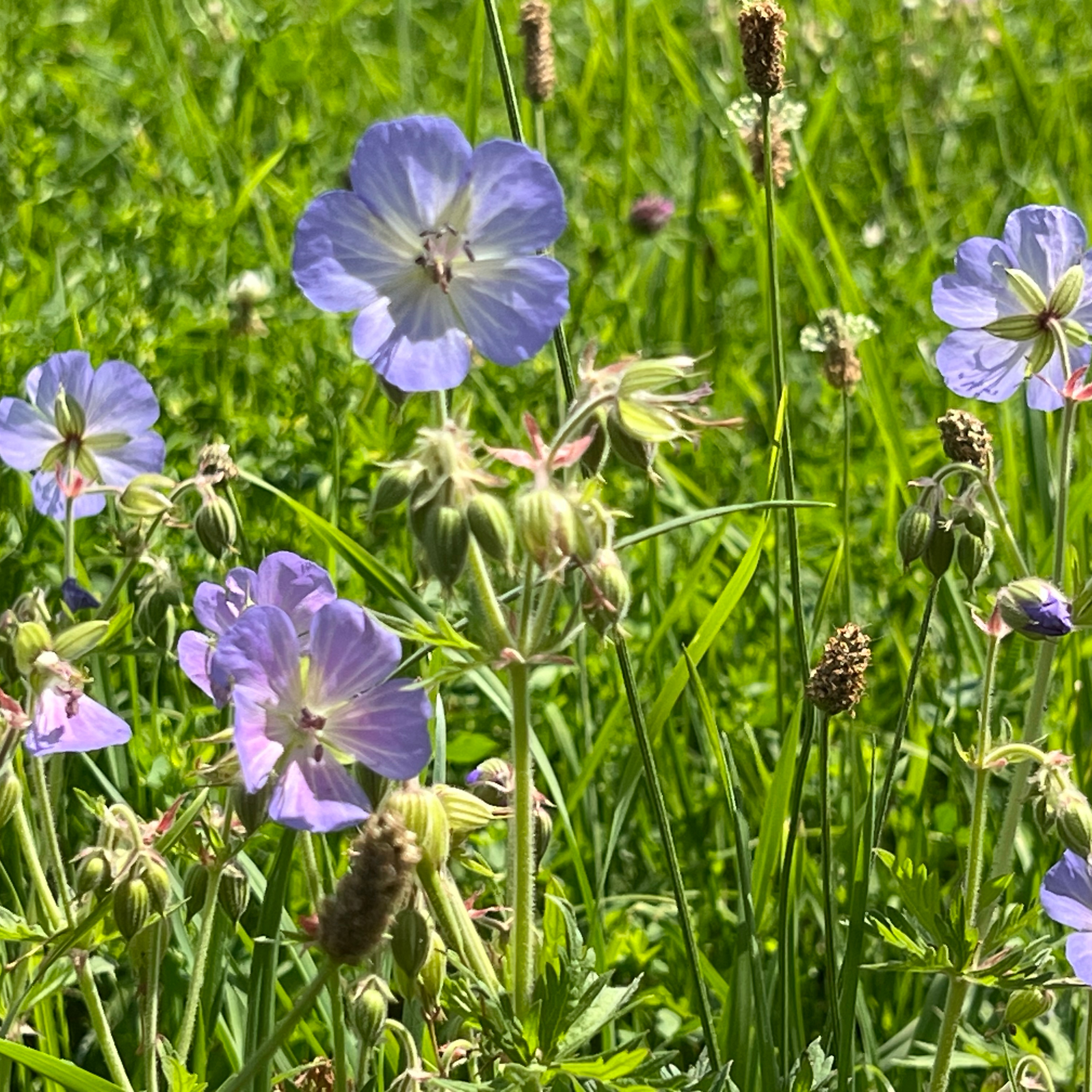 Landschaft des Wissens I Wissenswertes hören