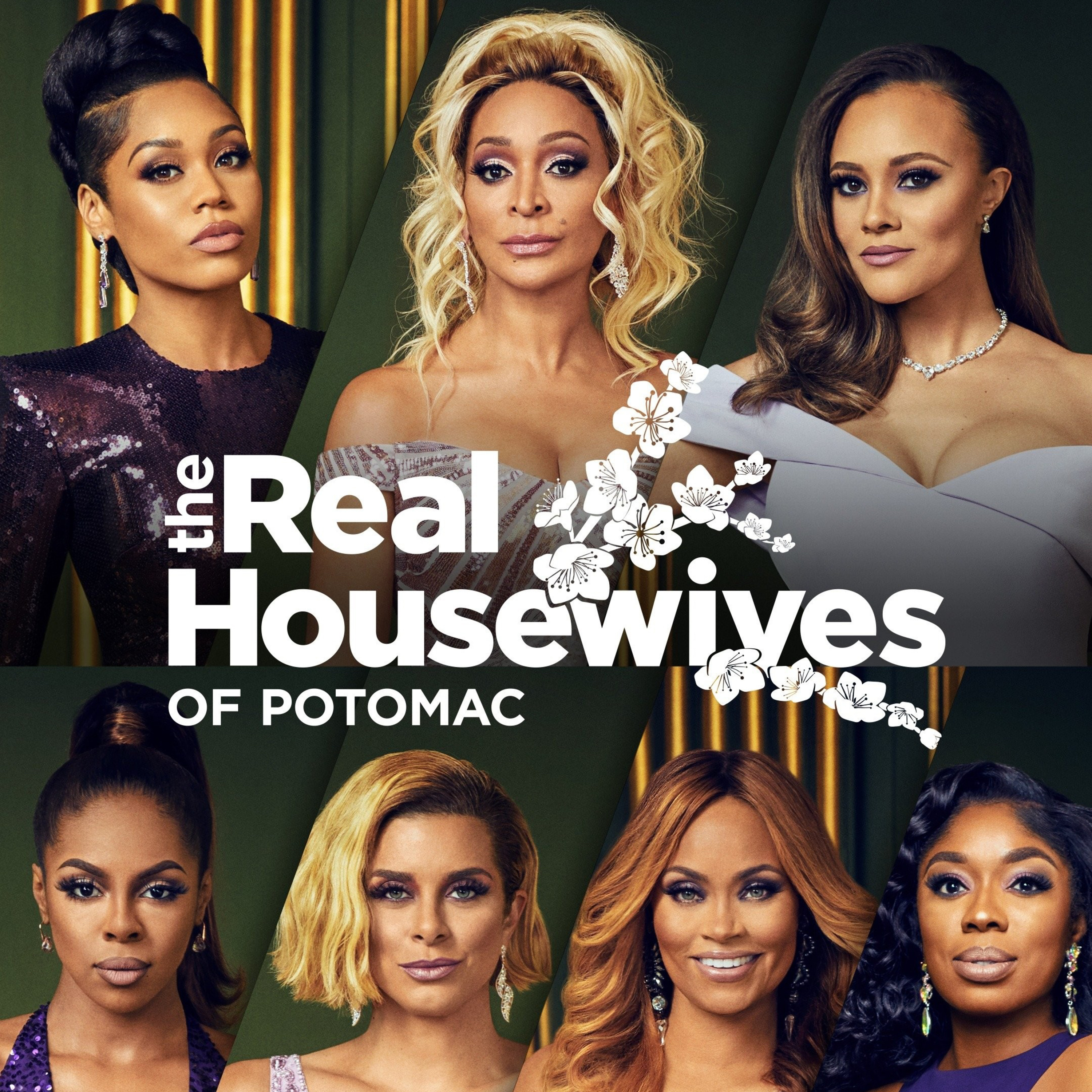 Tv Show Review: Real Housewives of Potomac