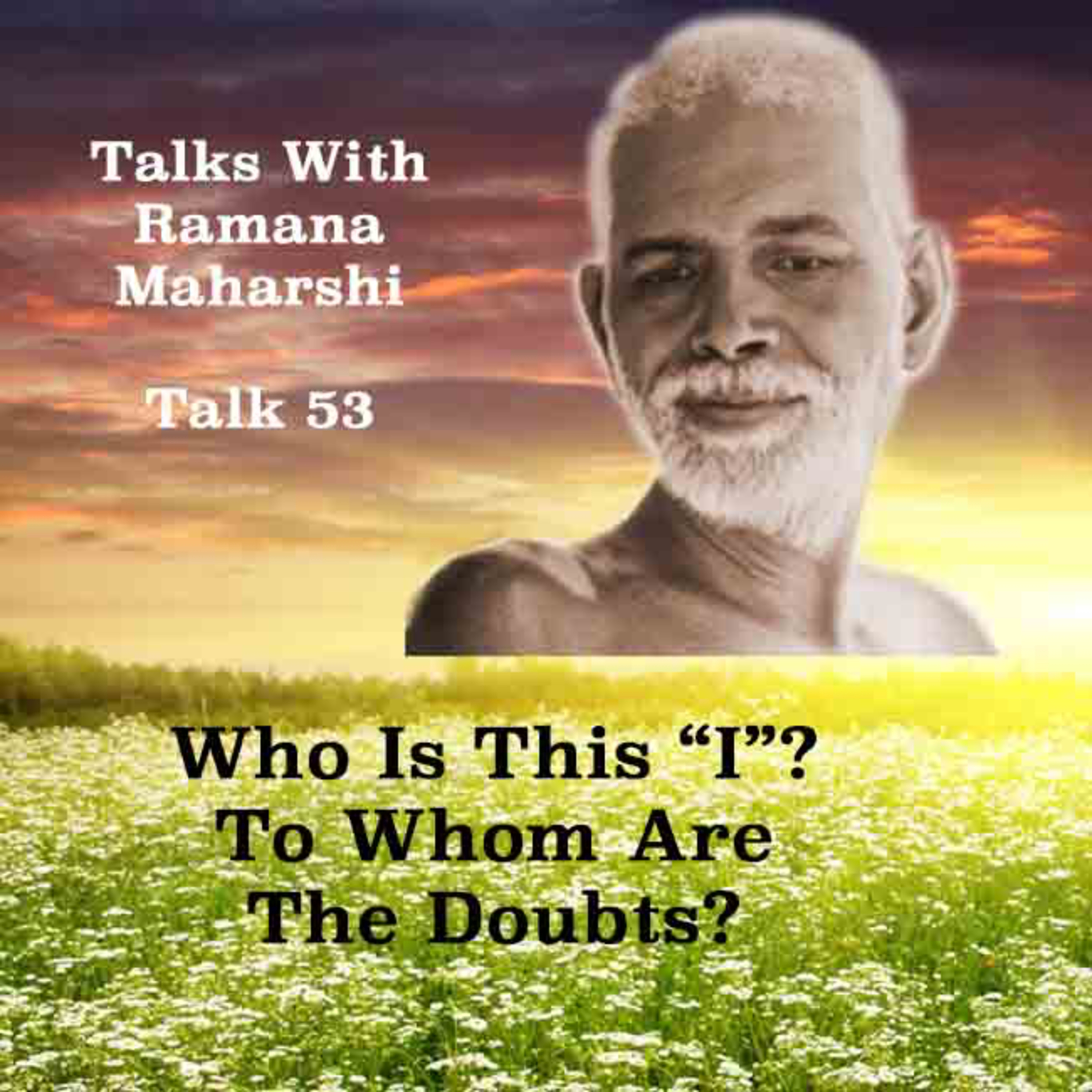 Talks with Ramana Maharshi (53) ~ Who Is This "I"? To Whom Are The Doubts? How Does The World Arise? episode artwork