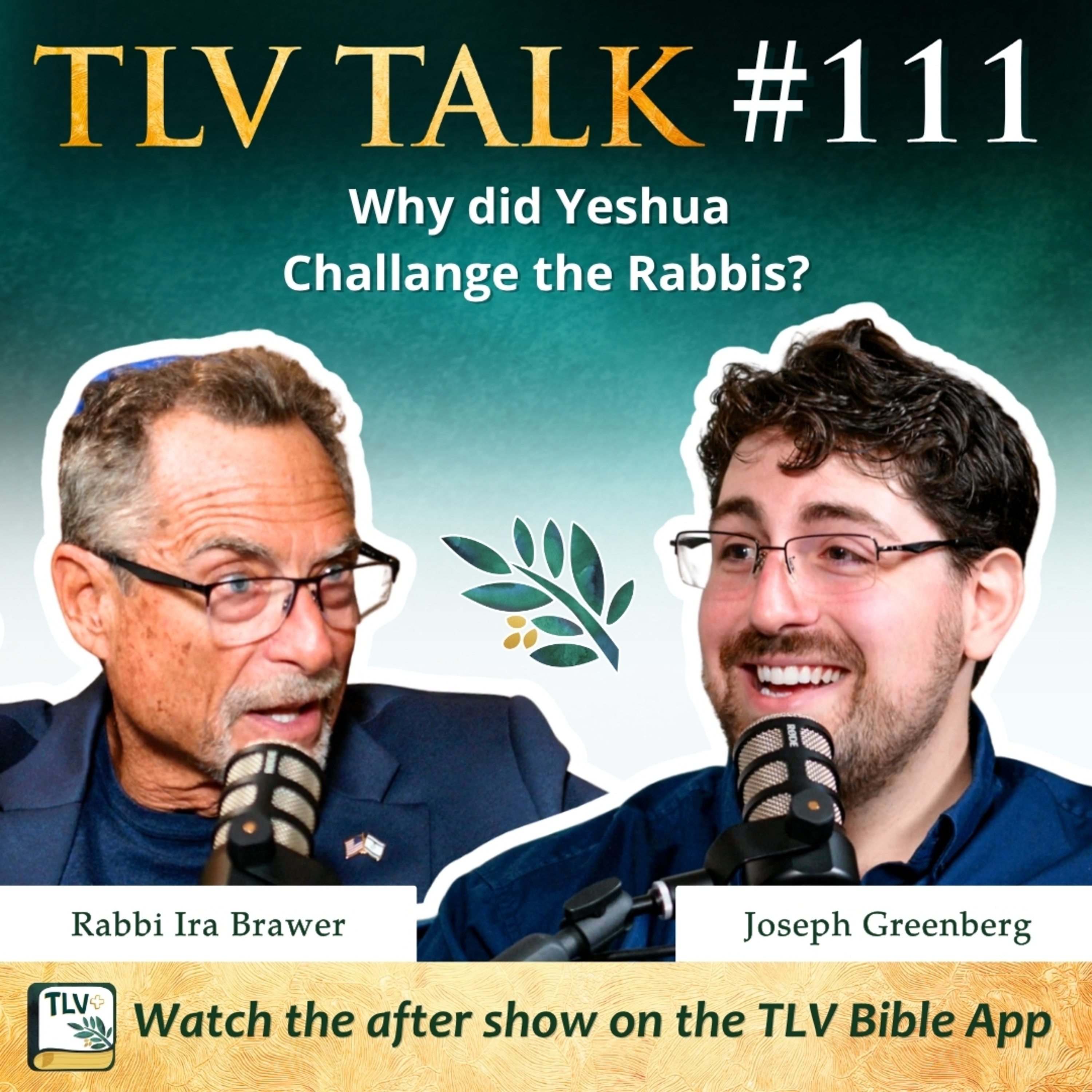 Why did Yeshua Challange the Rabbis? episode artwork