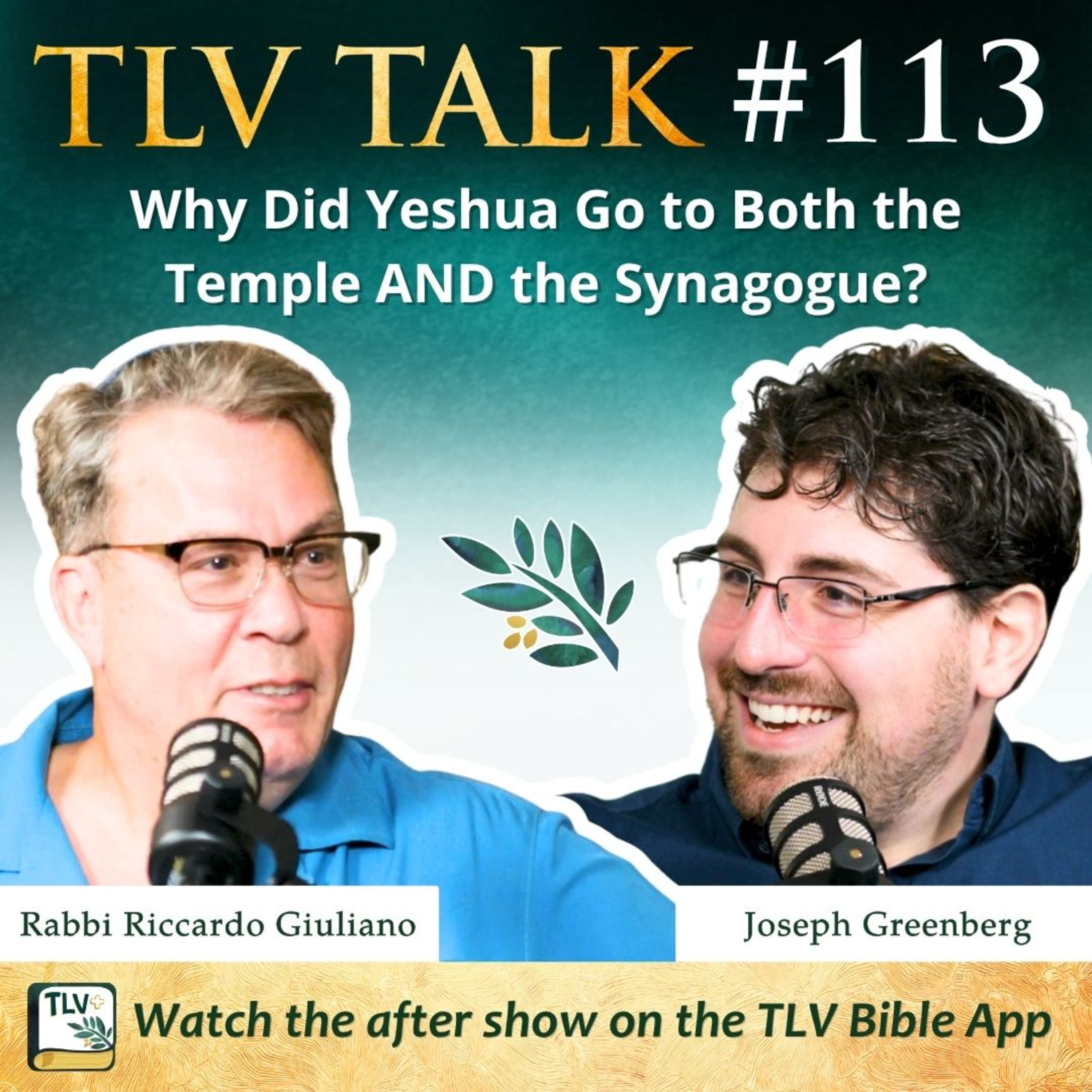 Why Did Yeshua Go to Both the Temple AND the Synagogue? episode artwork