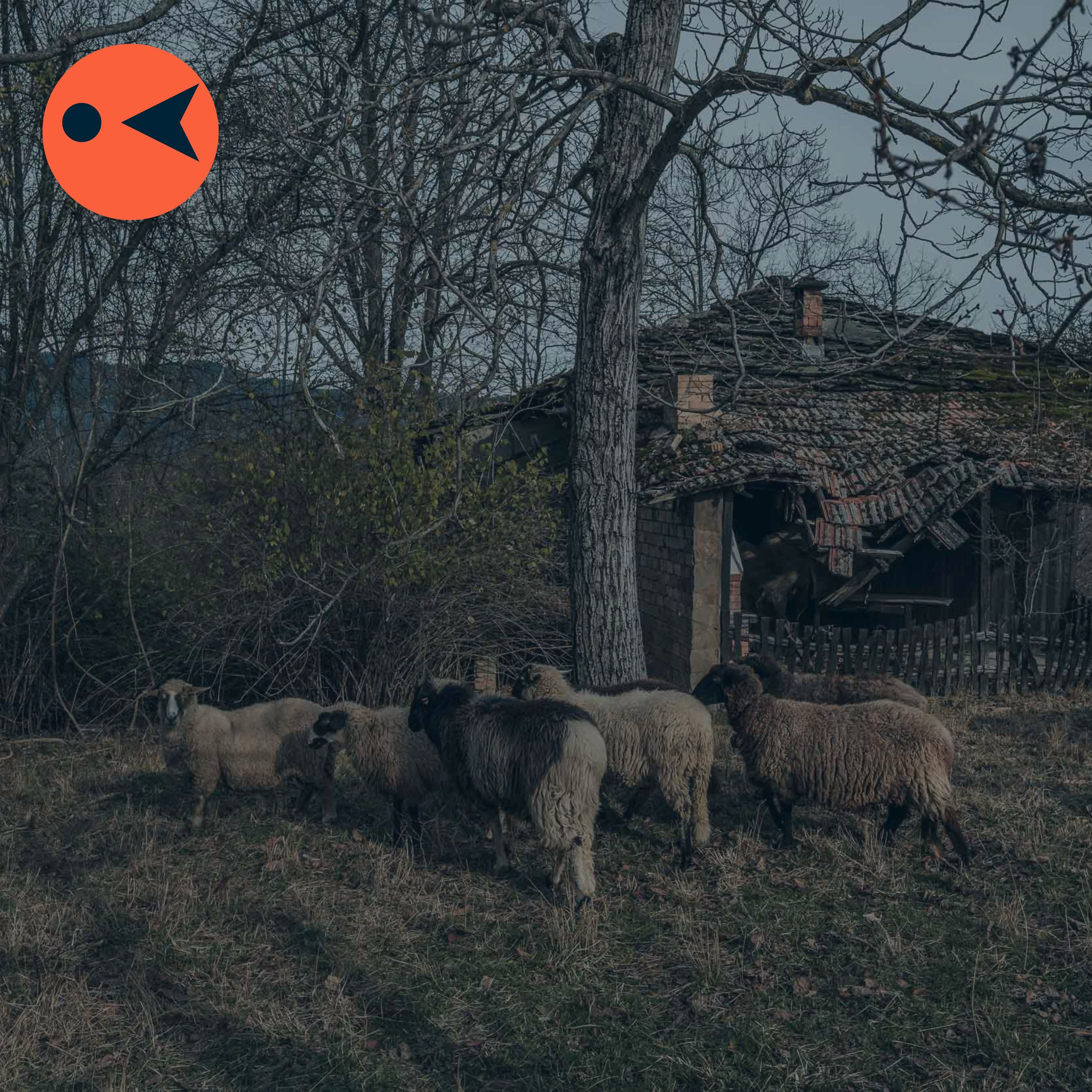 За съвременното българско село - разговор с антрополози За съвременното българско село - разговор с антрополози