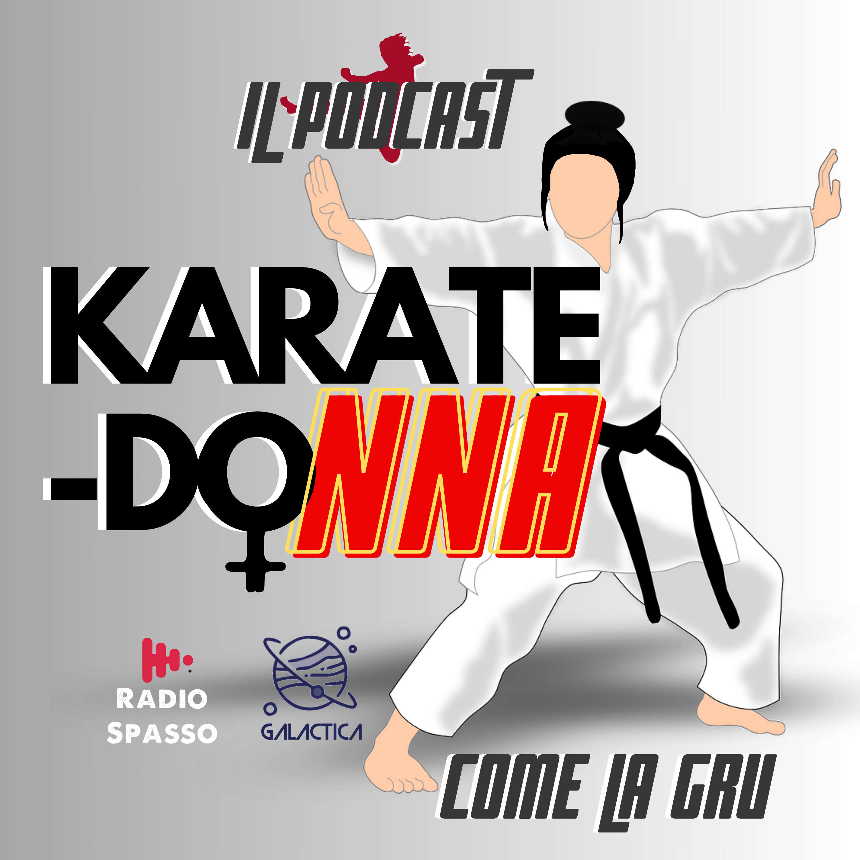 Come una gru episode artwork
