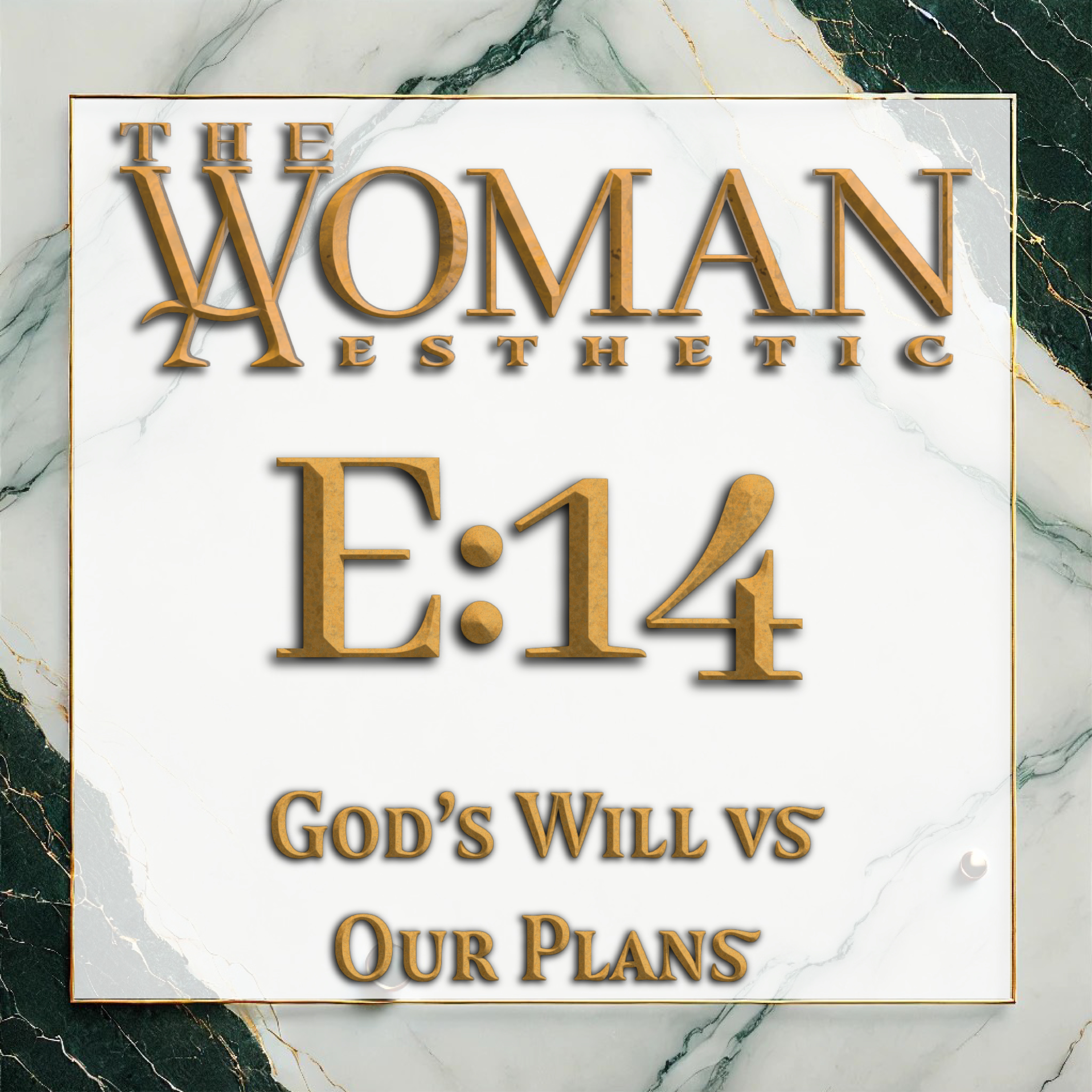 E:14 | God's Will vs Our Plans | Maria Bremerkamp episode artwork