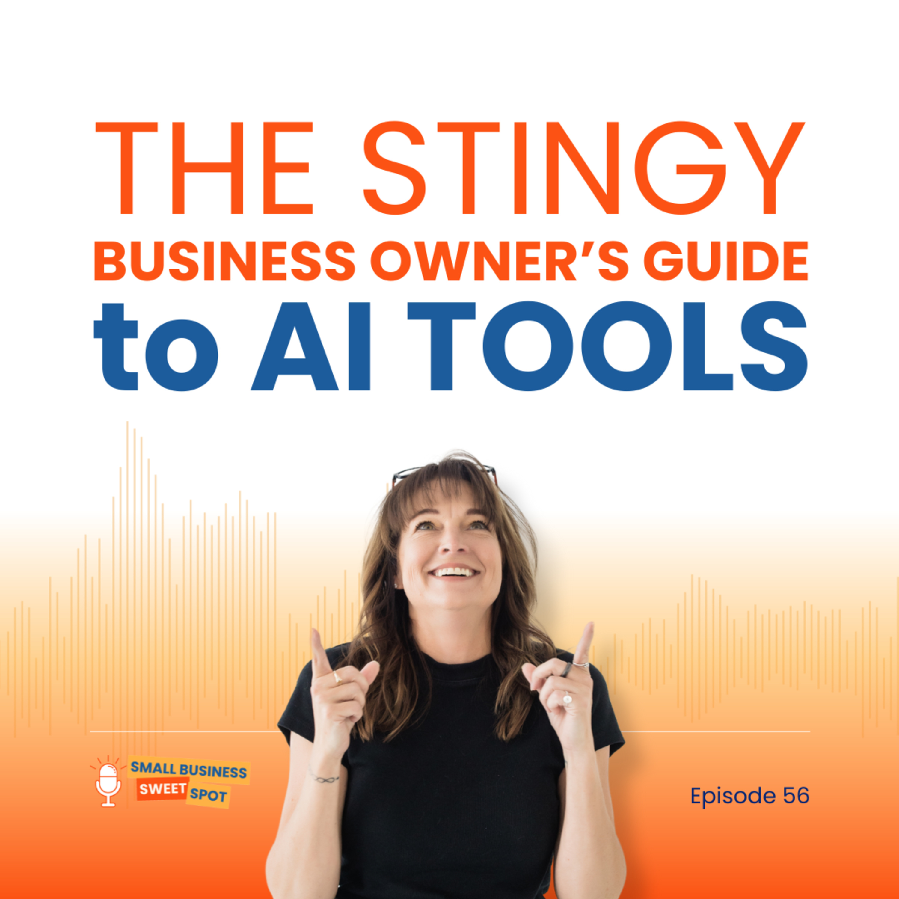 The Stingy Business Owner's Guide to AI Tools (EP56) episode artwork