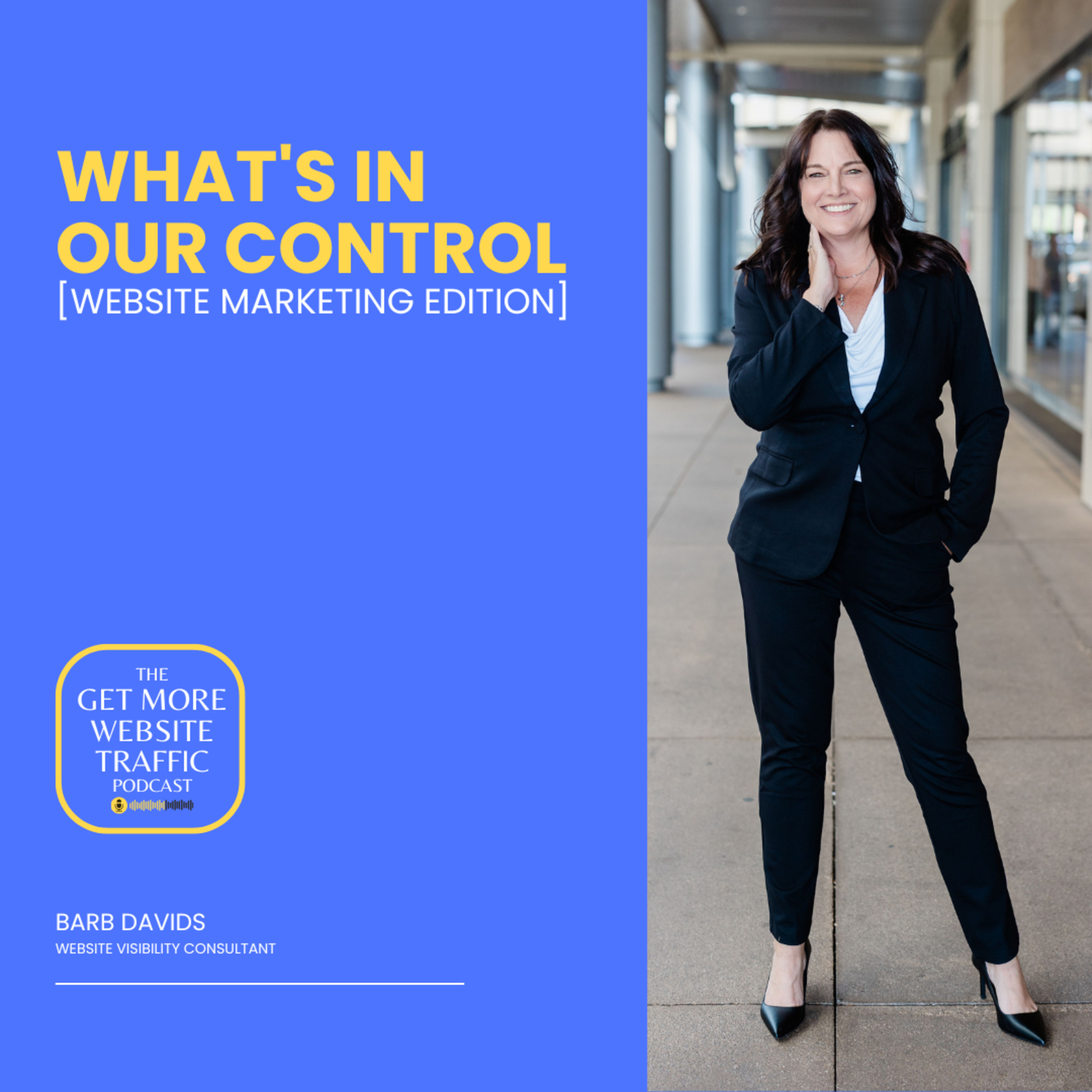 What's in Our Control [Website Marketing Edition] (EP116) episode artwork