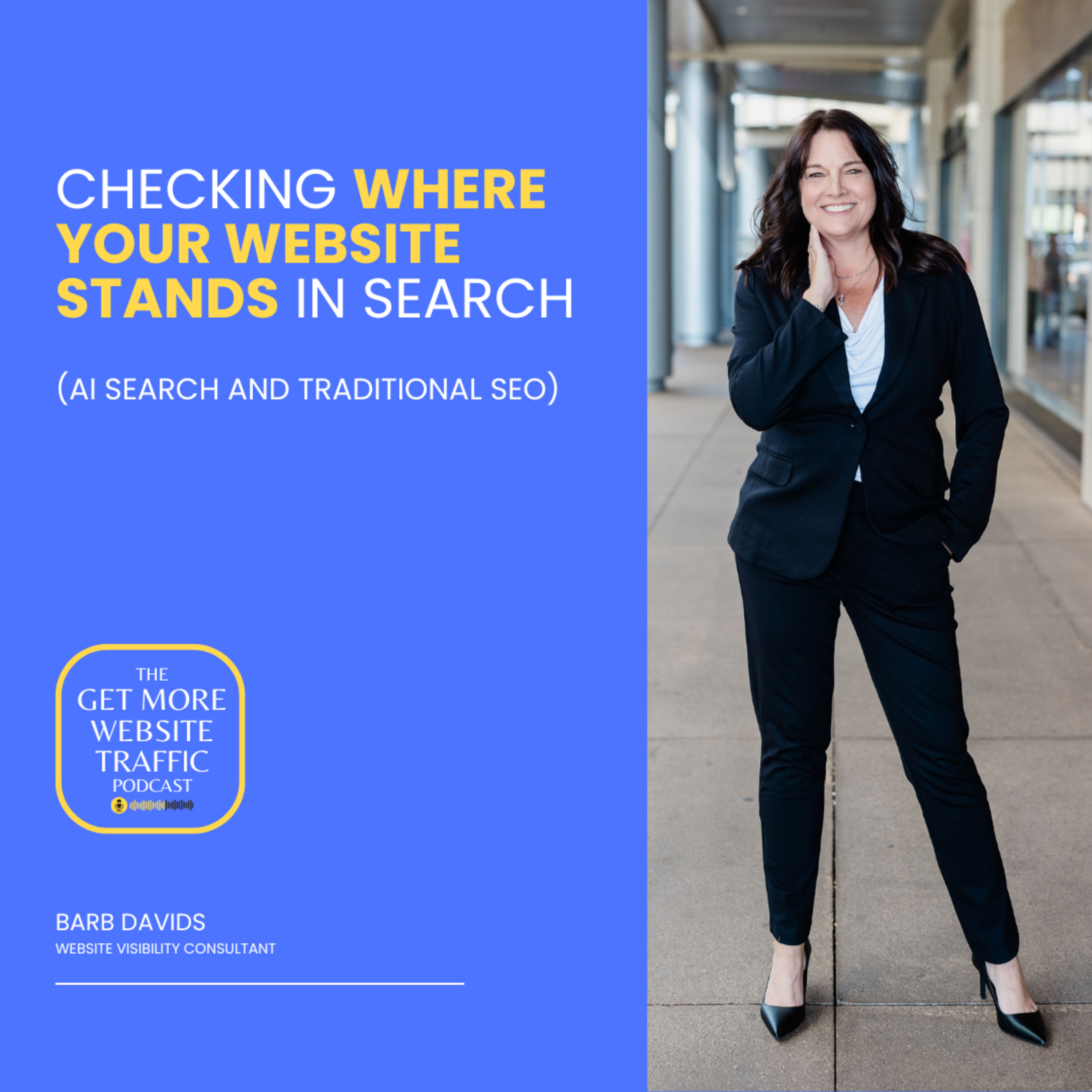 Checking Where Your Website Stands in Search (AI Search and Traditional SEO) (EP118) episode artwork