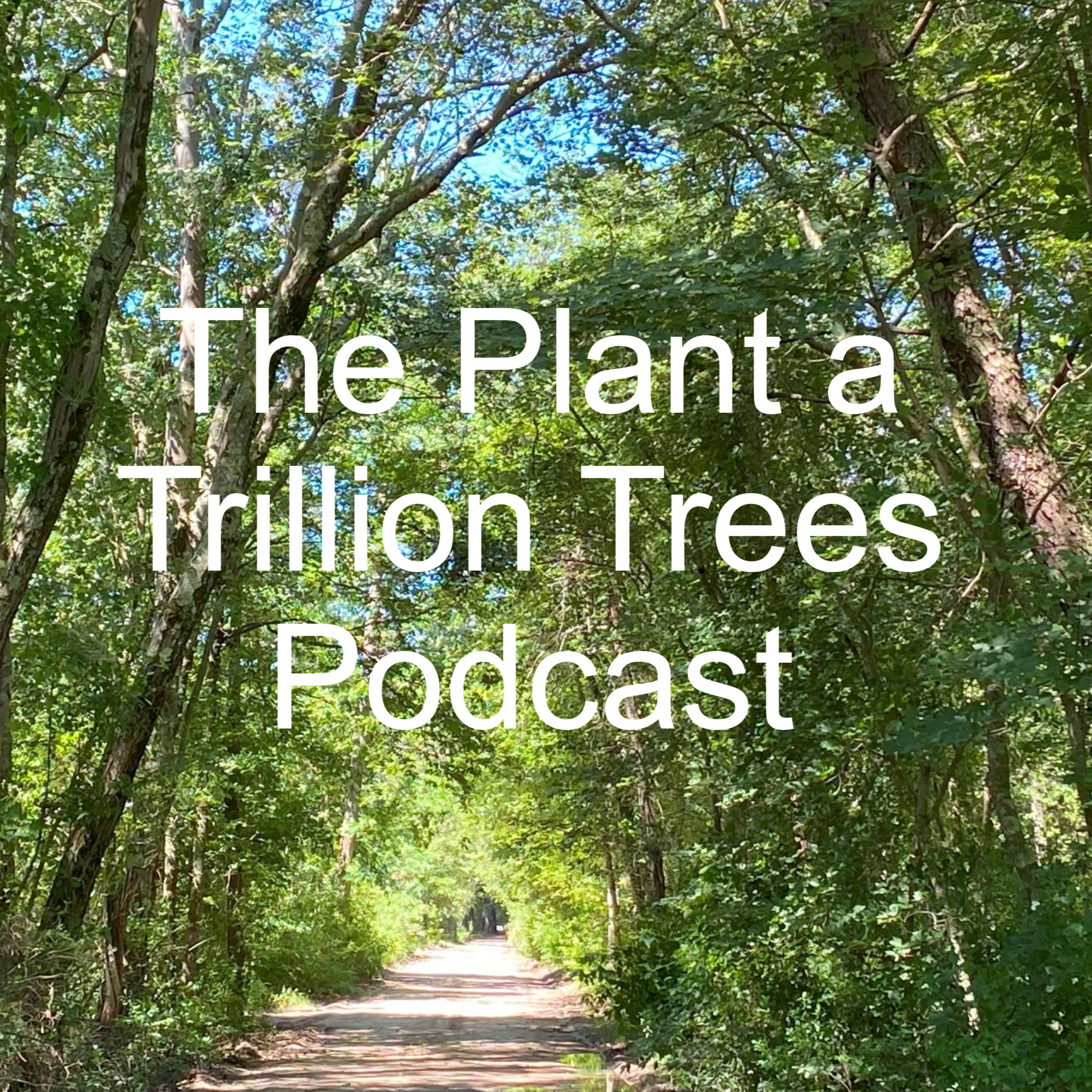 Episode 199 - Ethan Kauffman is the first director of Stoneleigh: a natural garden in Villanova, Pennsylvania.