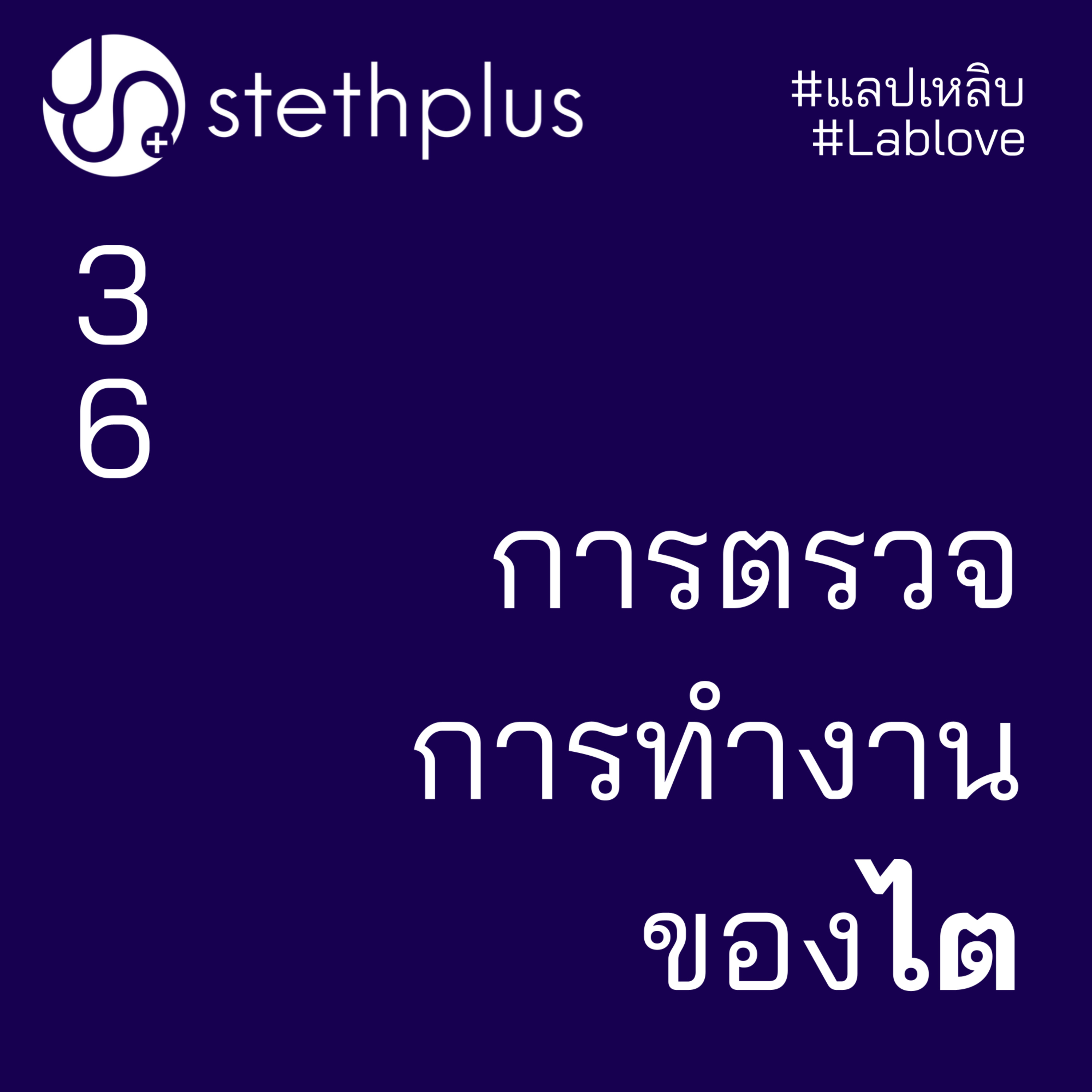 stethplus ep 36 - การตรวจการทำงานของไต #แลปเหลิบ #lablove episode artwork