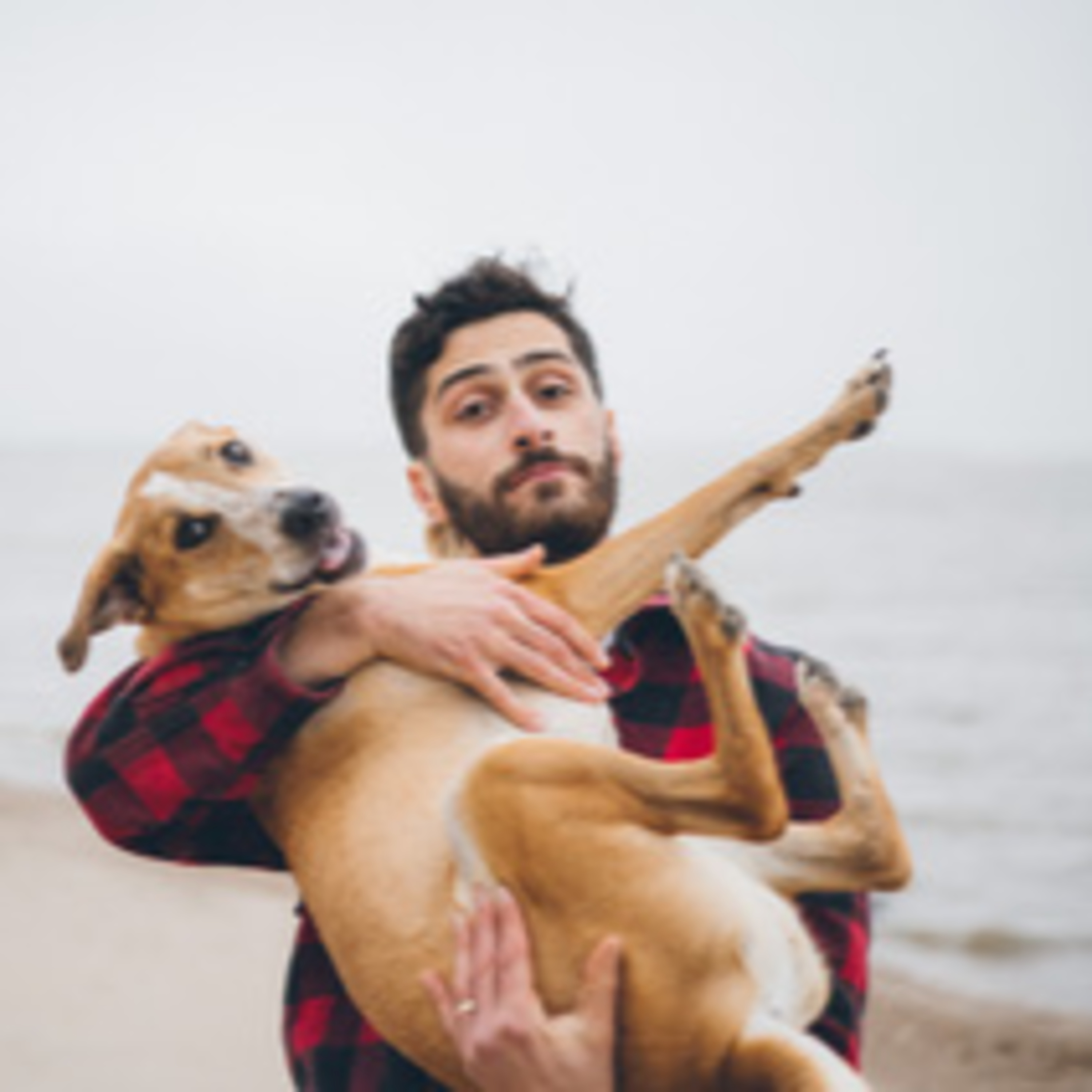 I\'m With the Band, Man