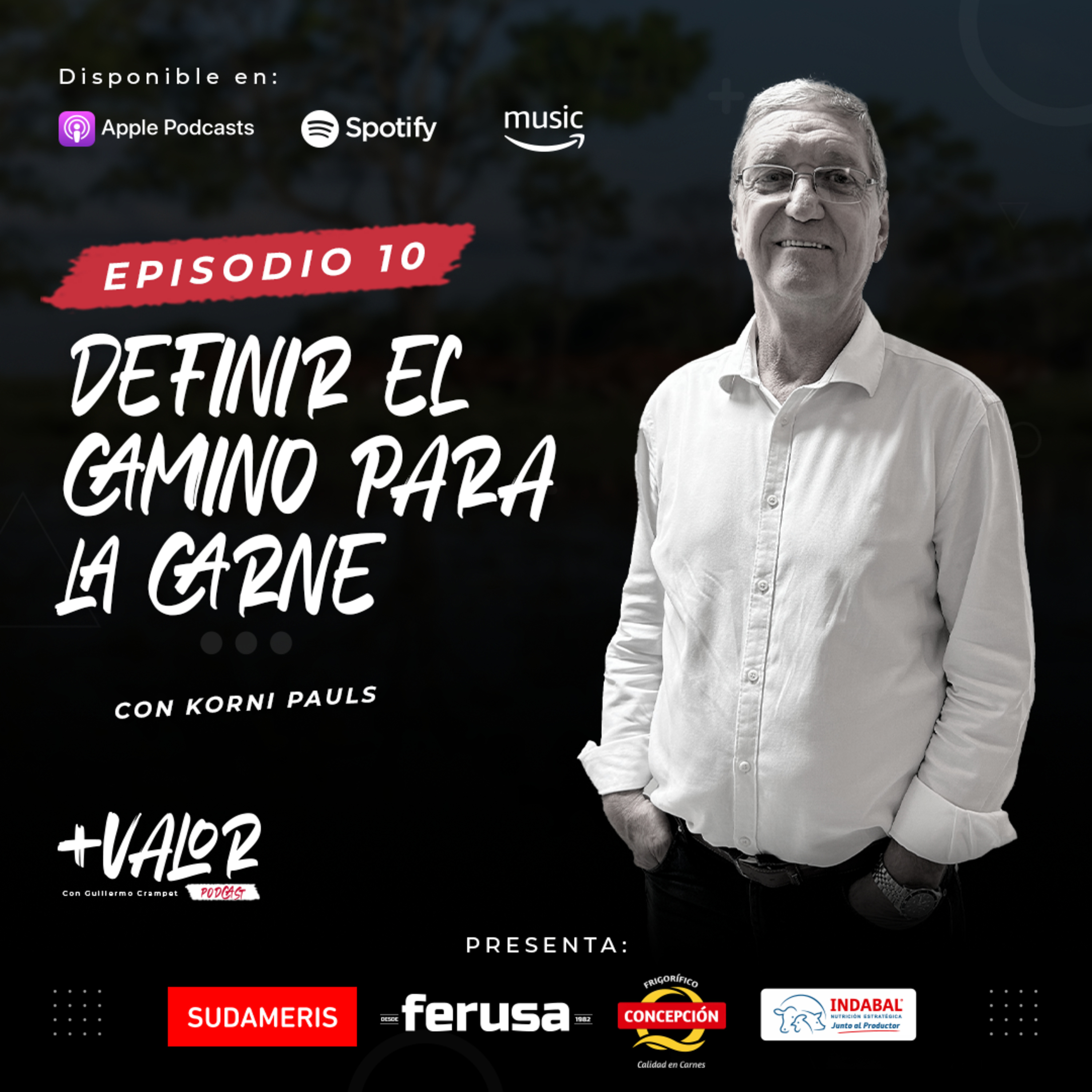 E10 | Definir el camino para la carne
