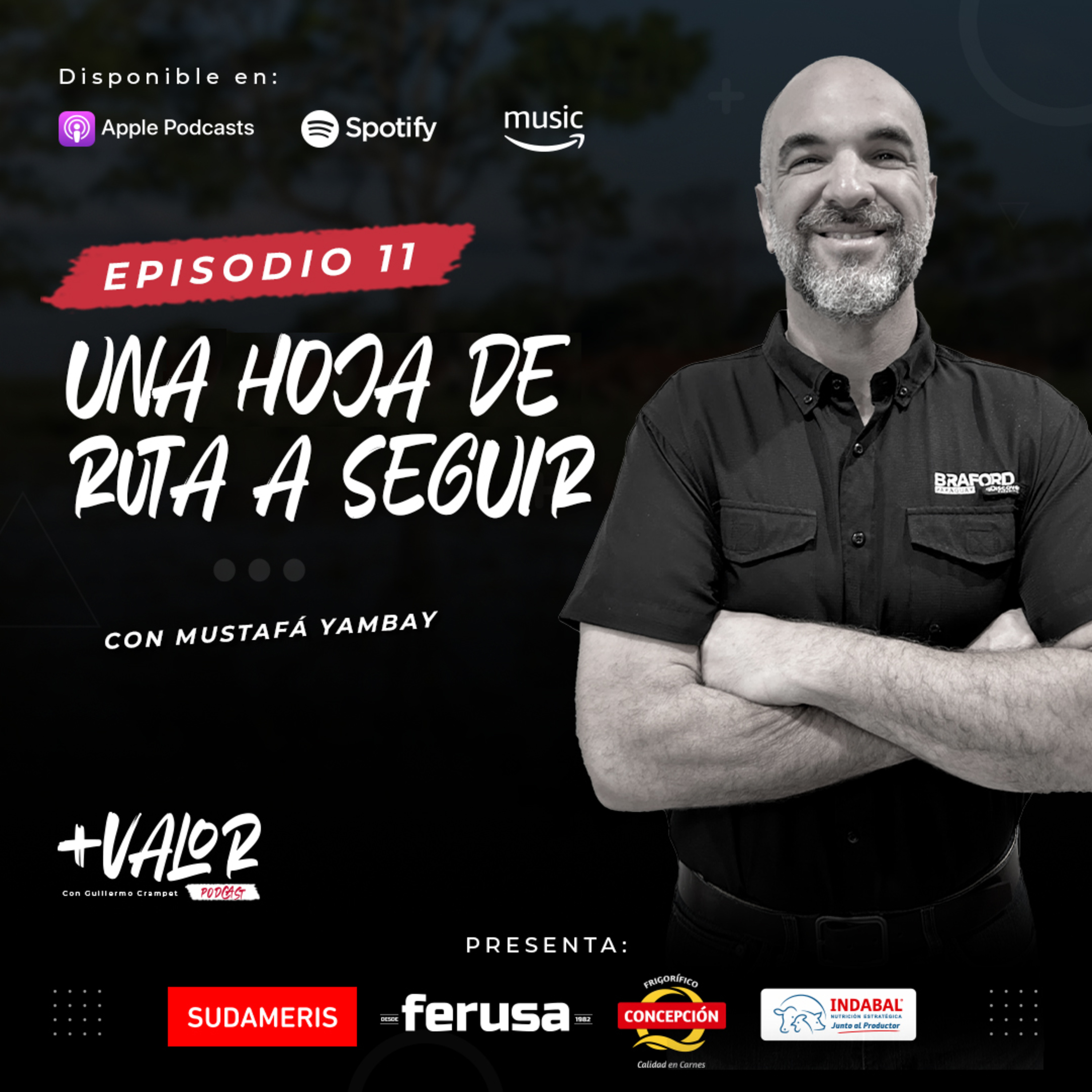 E11 | Una hoja de ruta a seguir