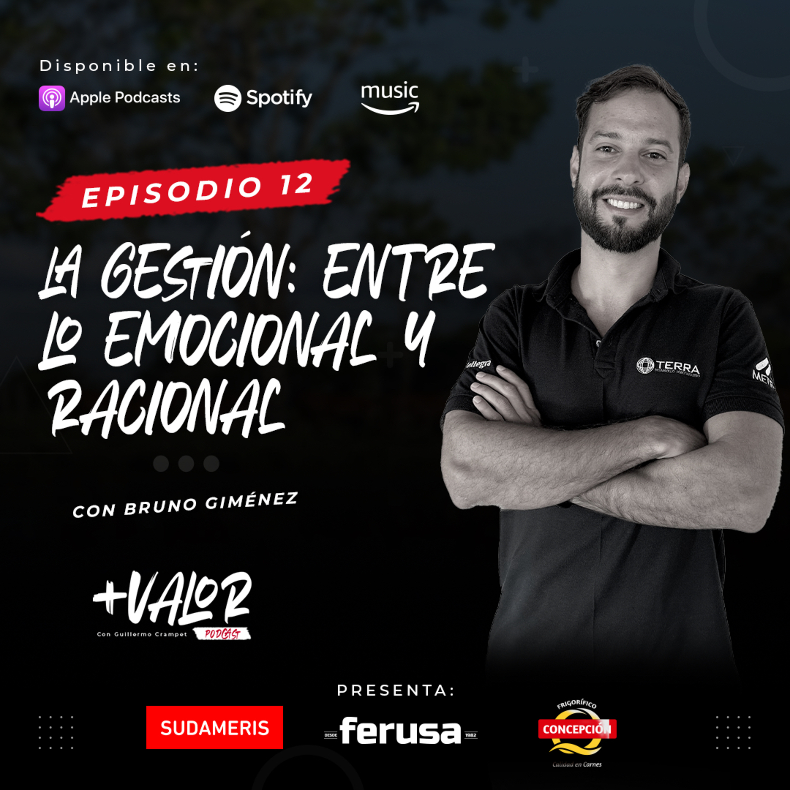 E12 | La gestión: entre lo emocional y racional