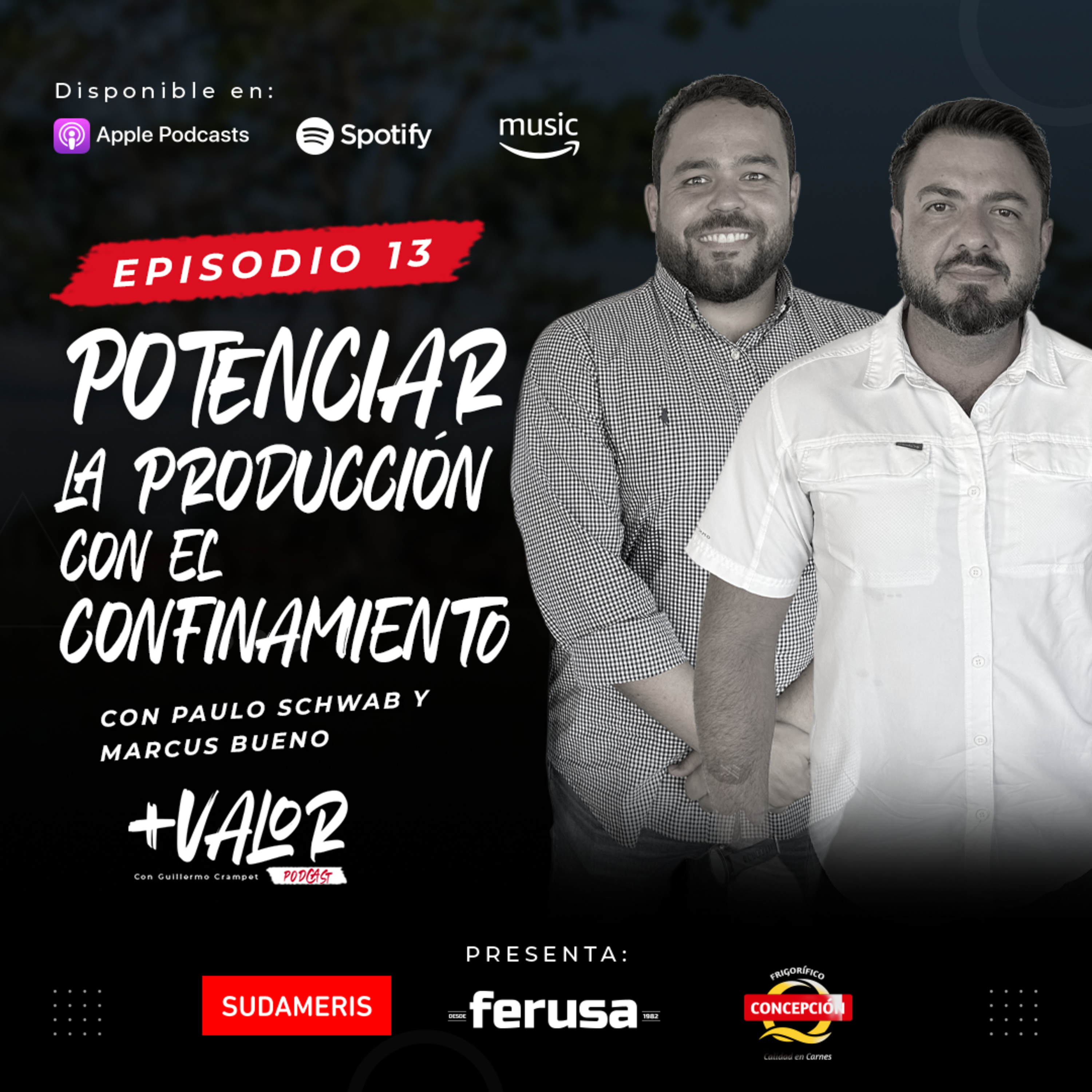 E13 | Potenciar la producción con el confinamiento