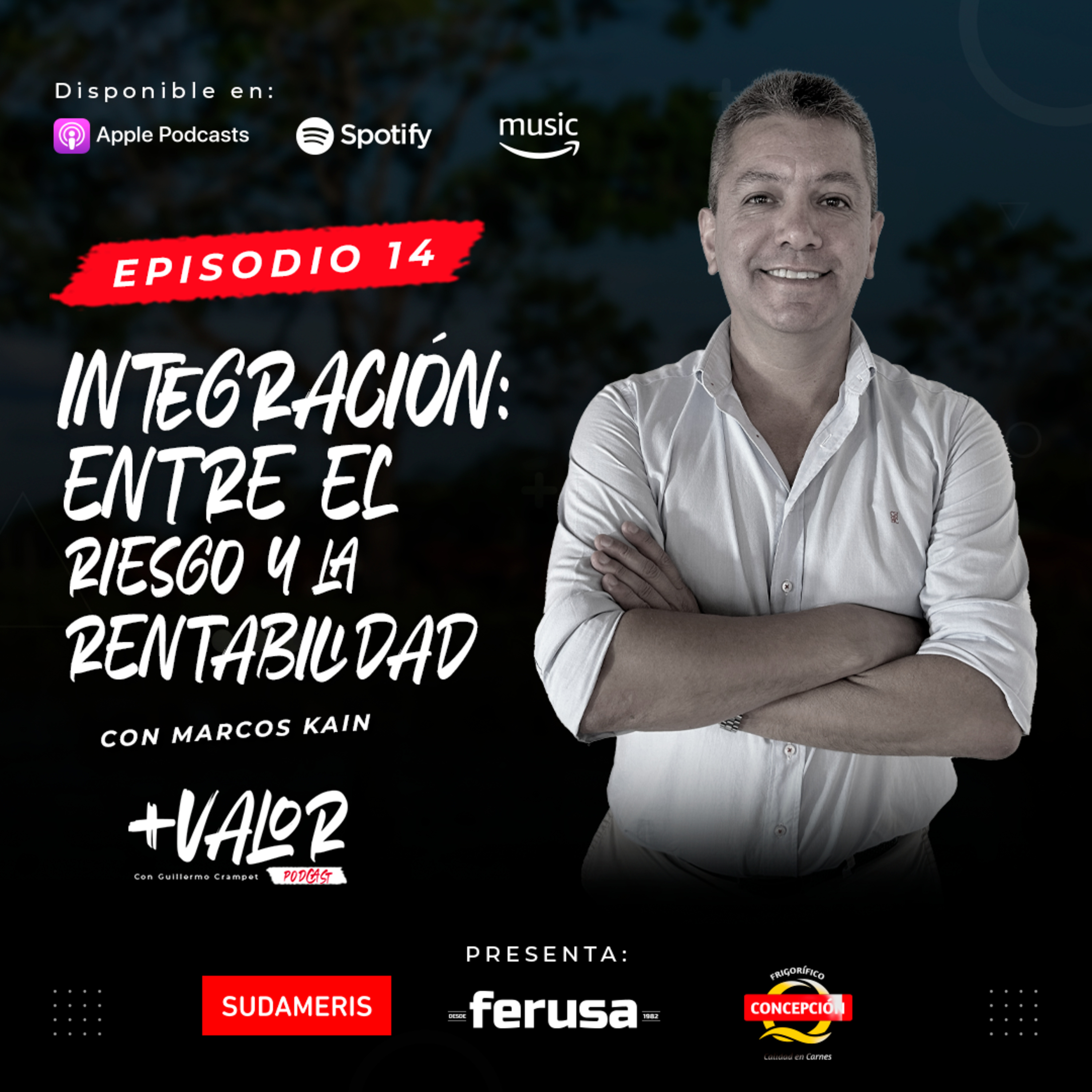 E14 | Integración: entre el riesgo y la rentabilidad