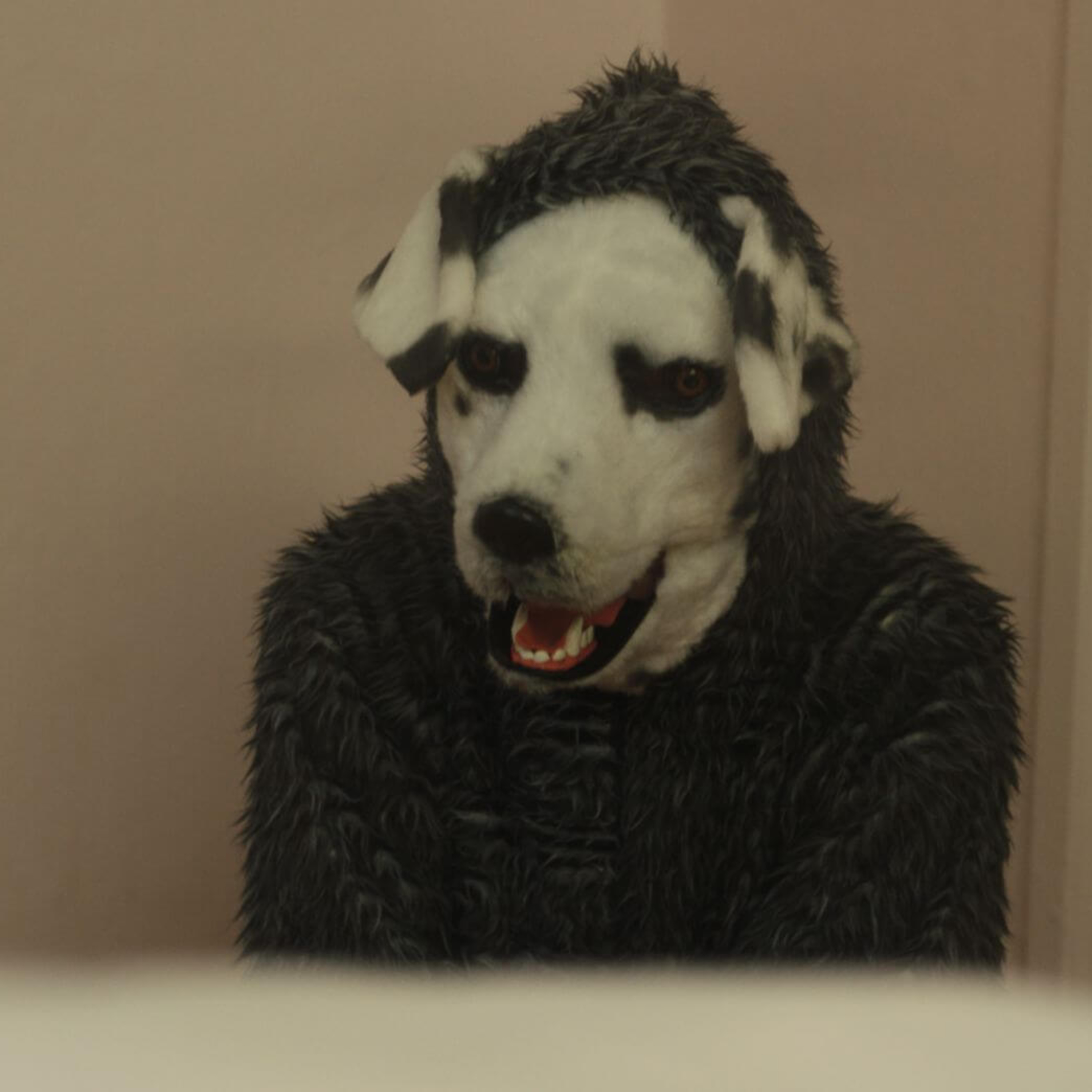 good boy (who you callin mangy?)