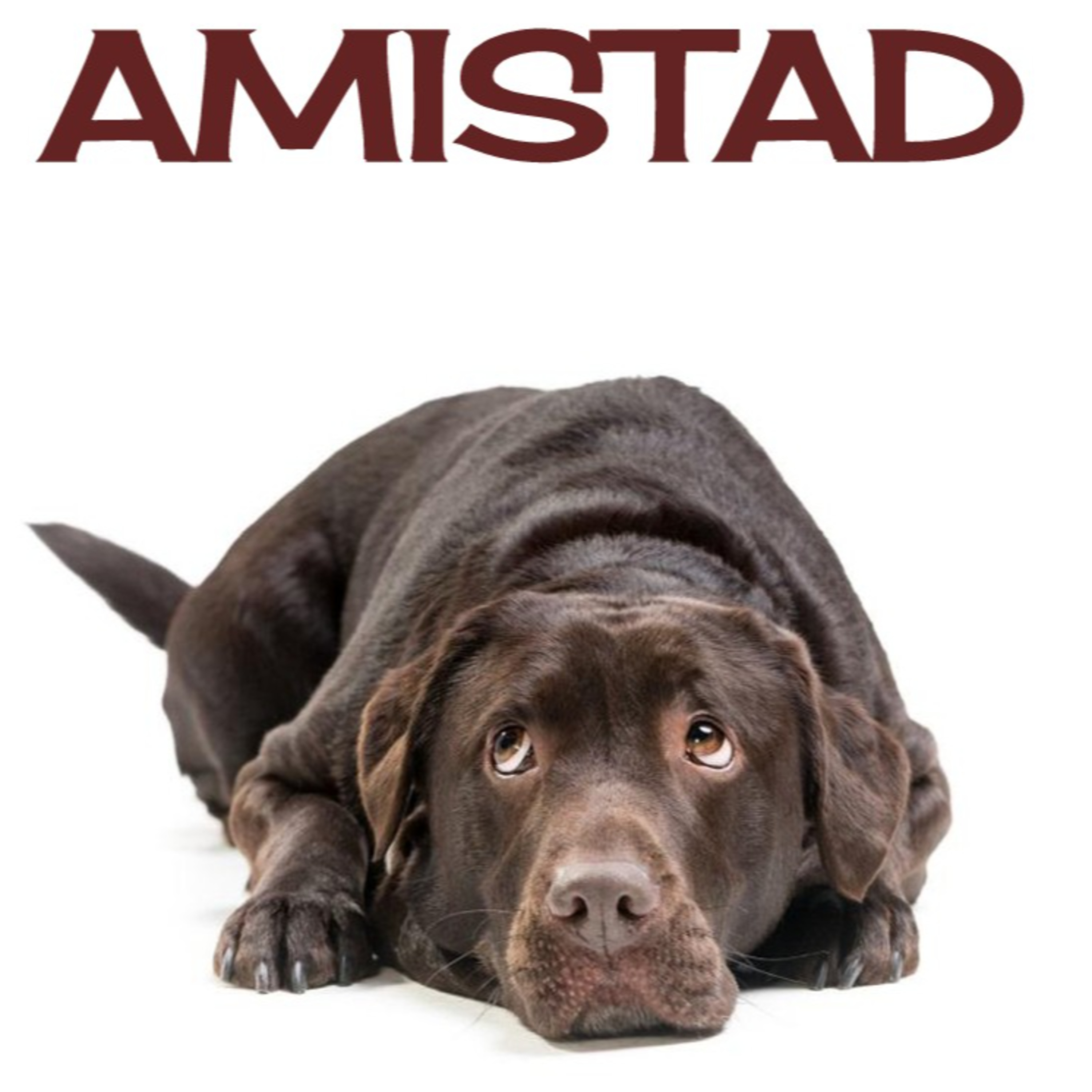 Amistad / Bruno B. Traven / José Navarro Padilla episode artwork