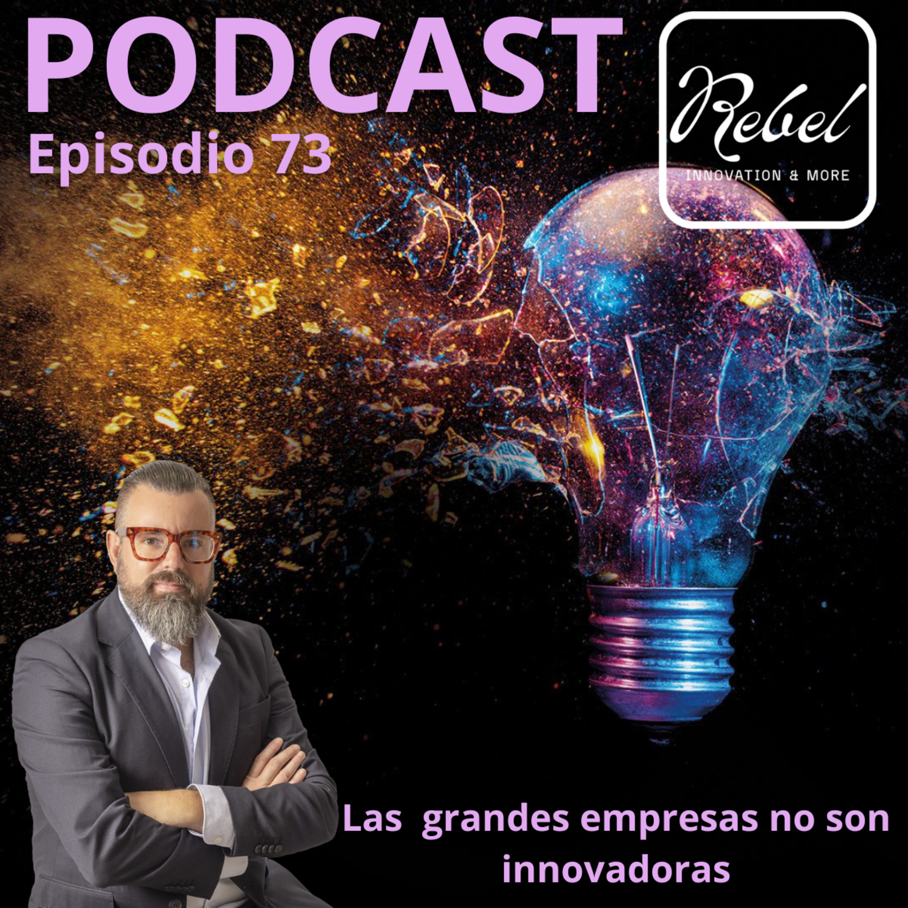 # 73 EPISODIO - LAS GRANDES EMPRESAS NO INNOVAN episode artwork