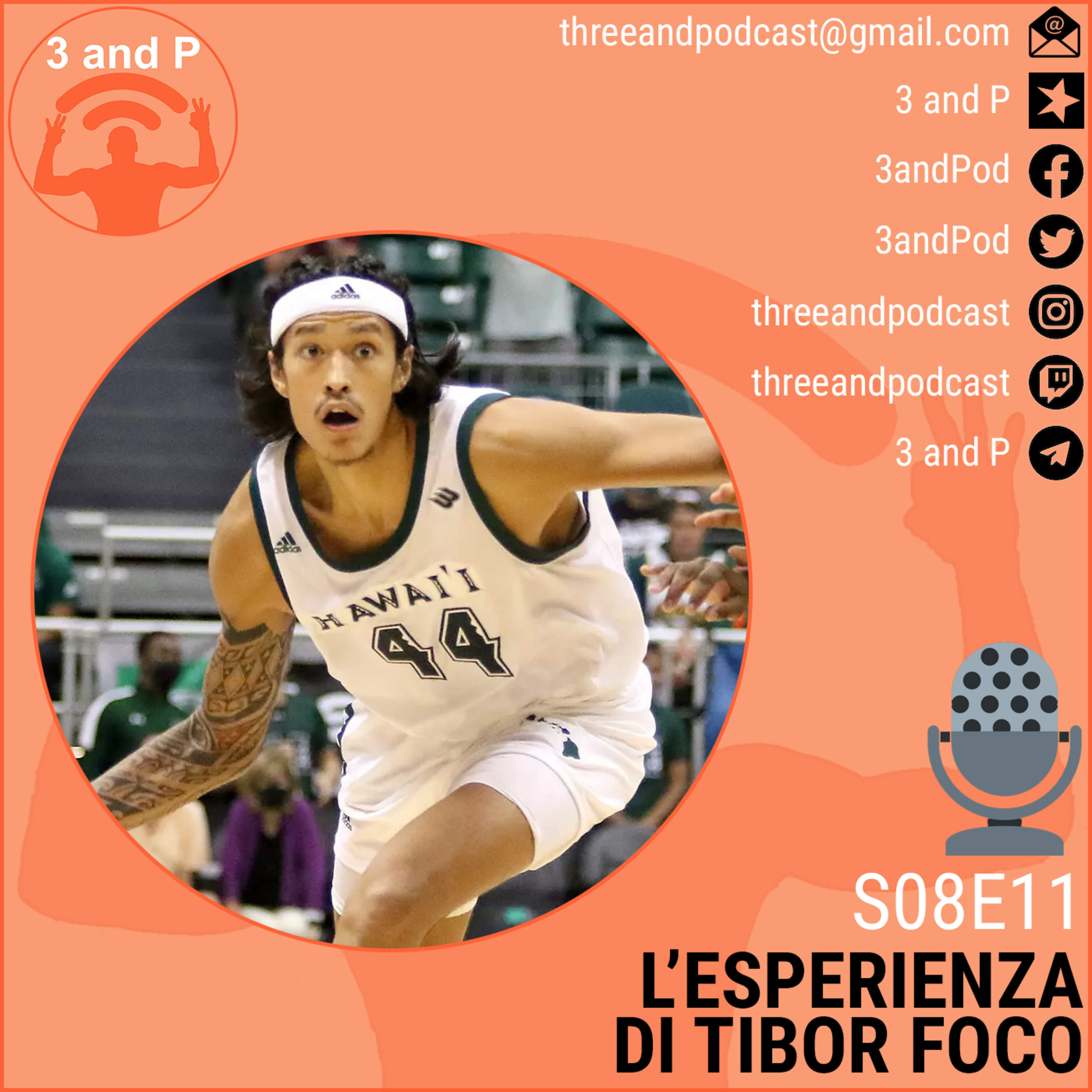 S08E11 | L'esperienza di Tibor Foco