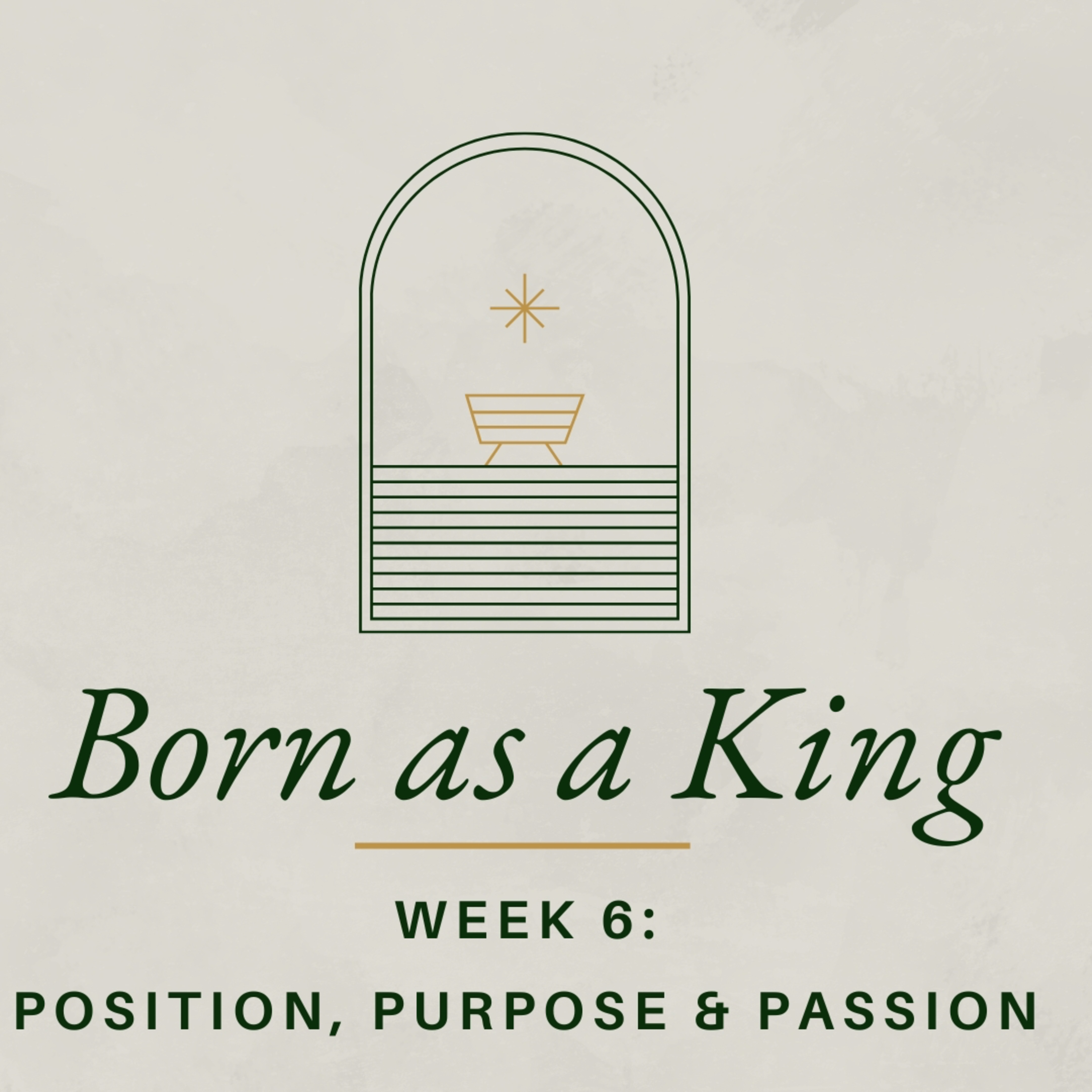 Born As A King (The Gospel of Luke - Part 1) - Week 6 - Position, Purpose & Passion episode artwork