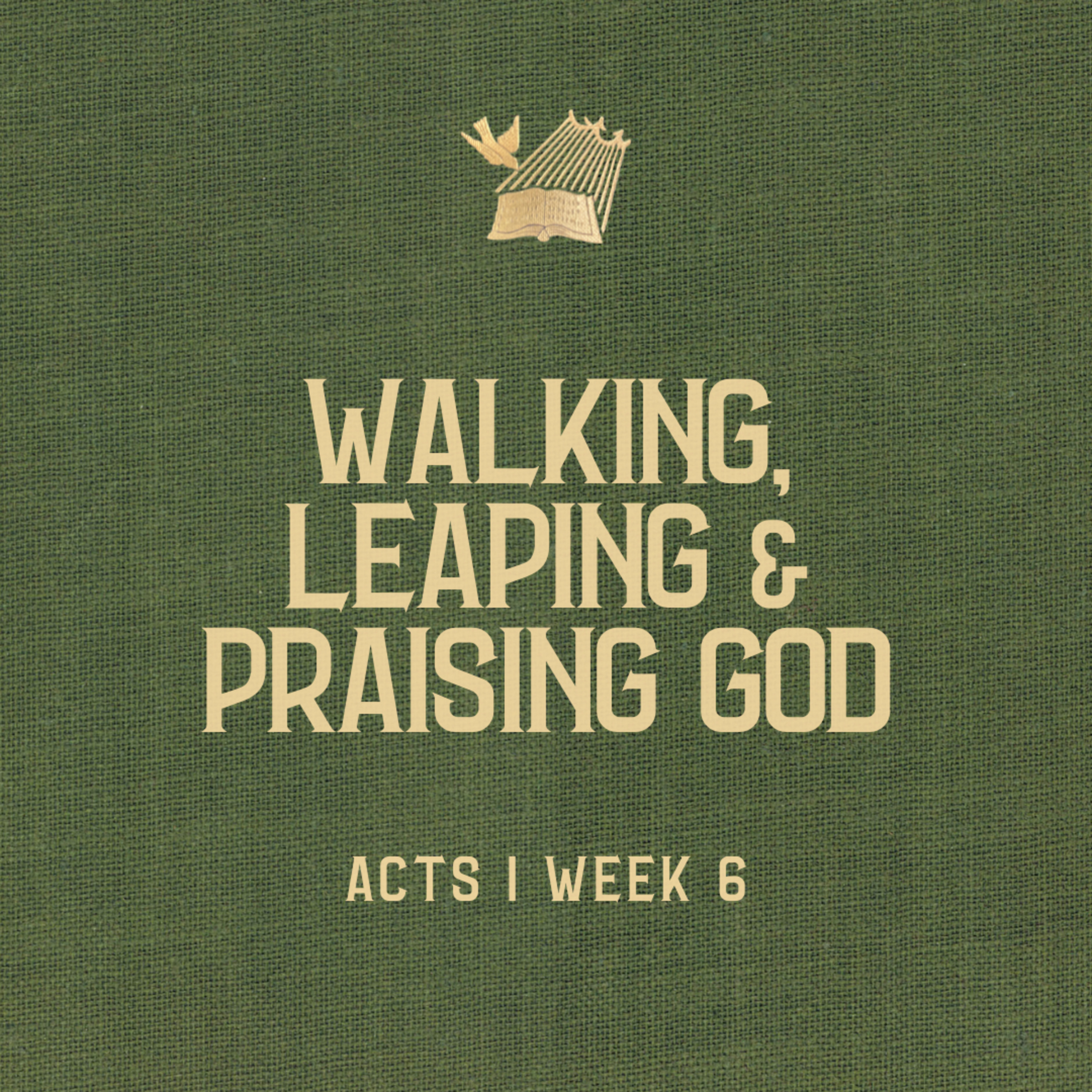 Acts : Week 6 : Walking, Leaping & Praising God episode artwork