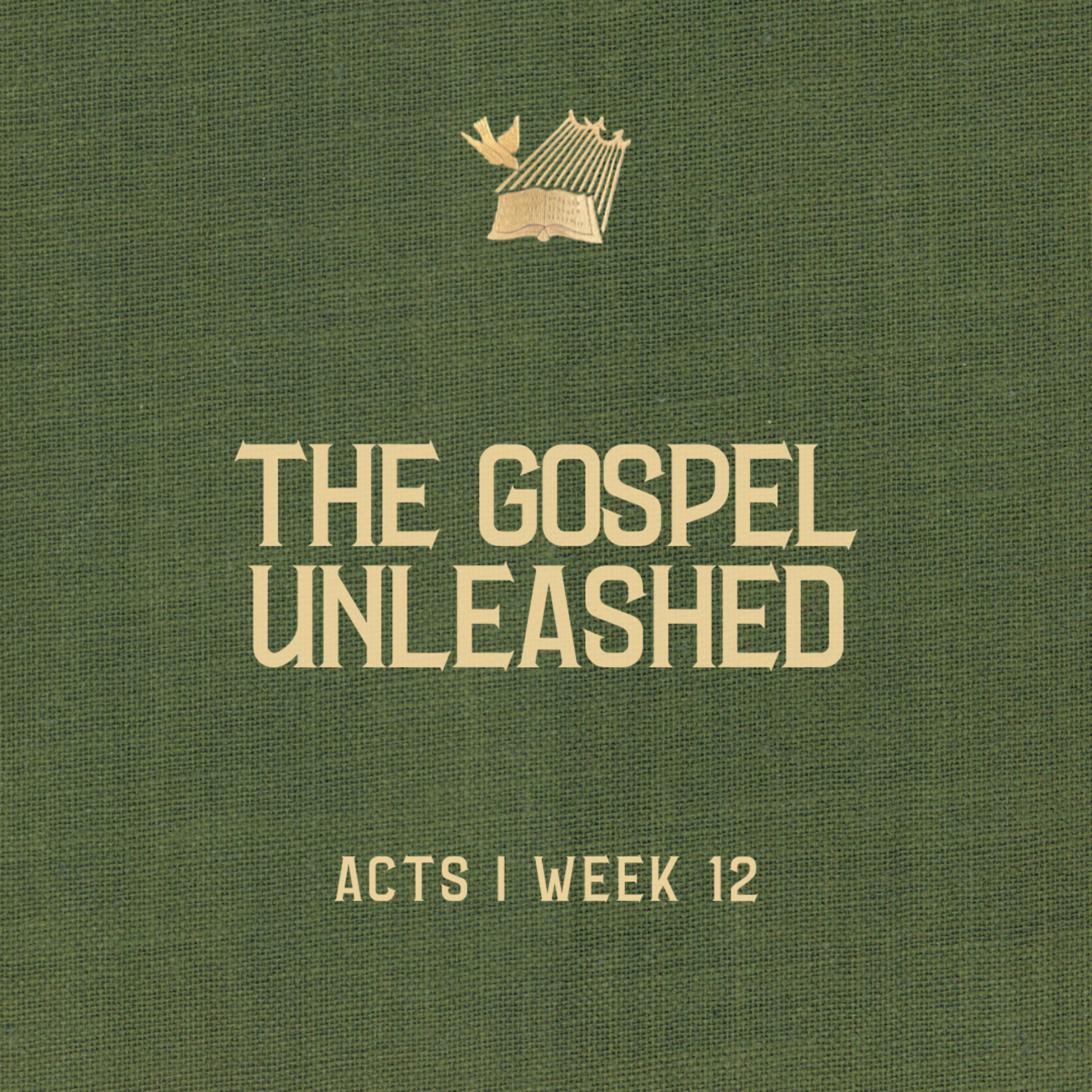 Acts : Week 12 : The Gospel Unleashed episode artwork