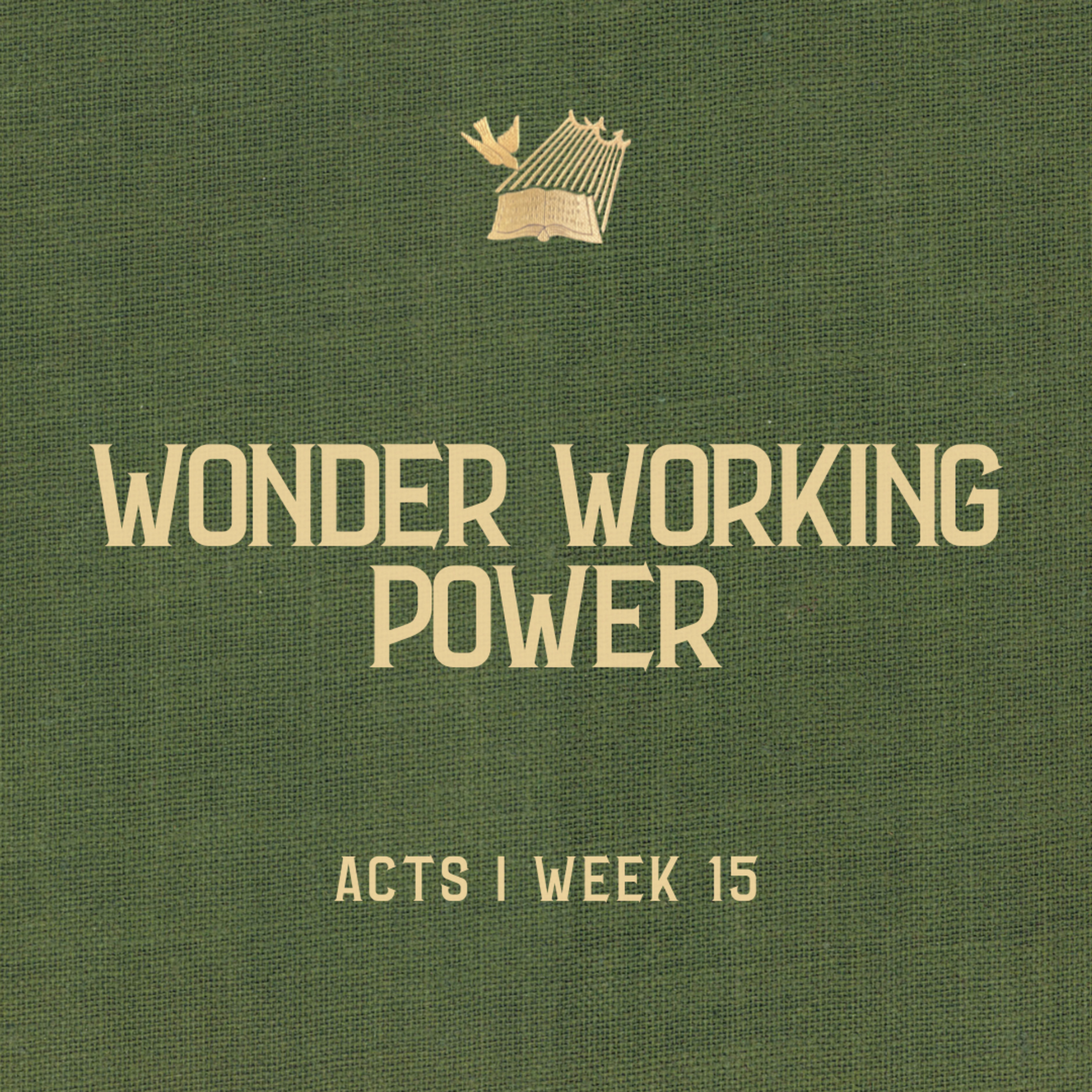 Acts : Week 15 : Wonder Working Power episode artwork