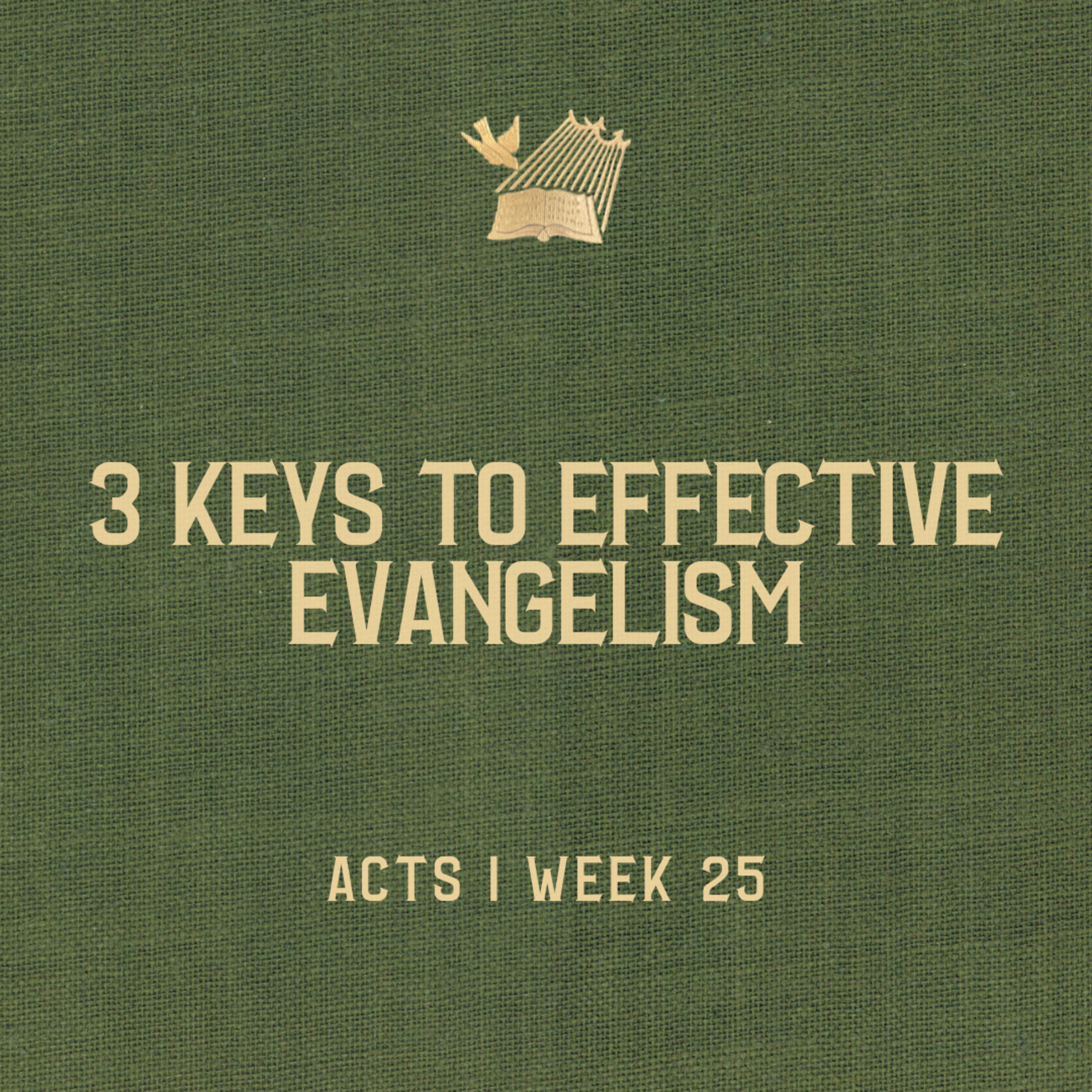 Acts : Week 25 : 3 Keys to Effective Evangelism episode artwork