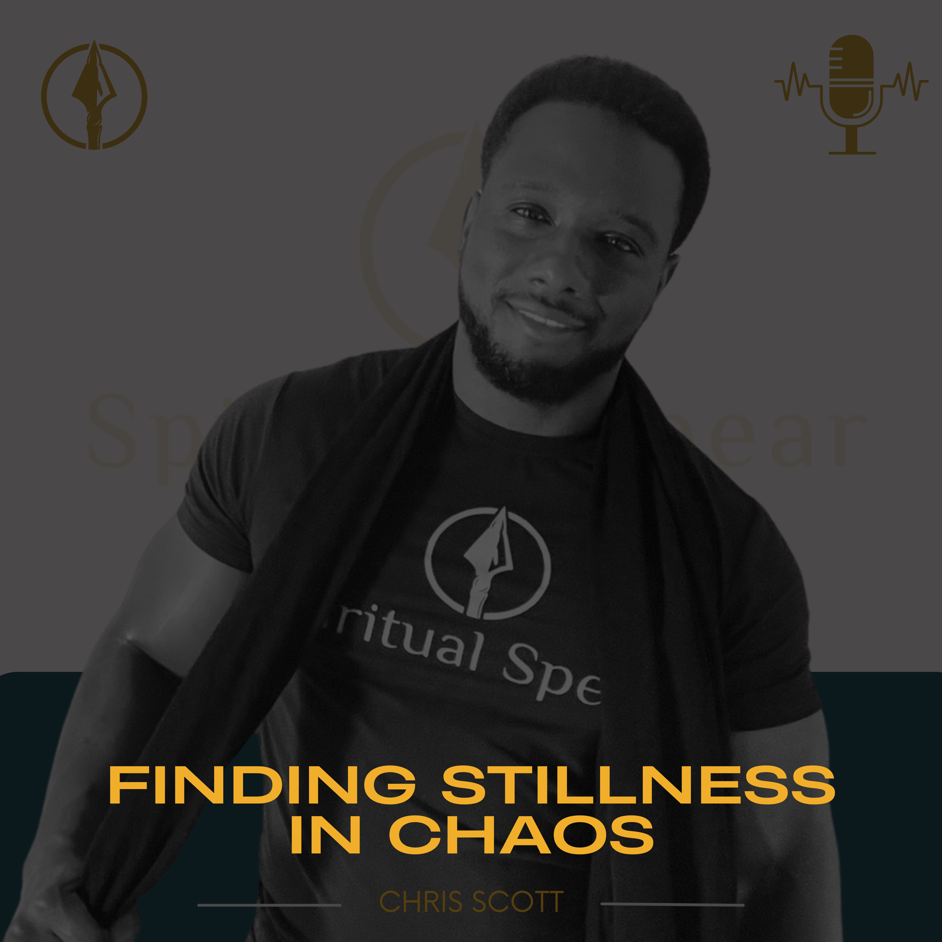 Finding Stillness in Chaos episode artwork