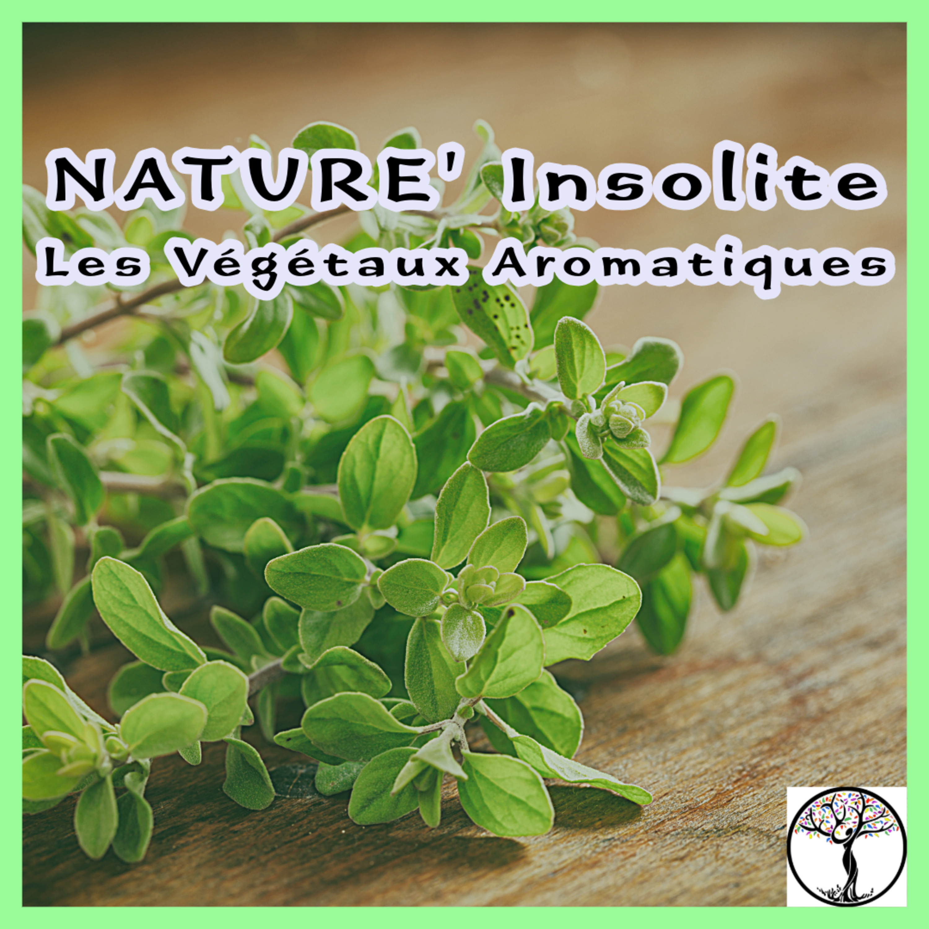 Le Jardin Aromatique