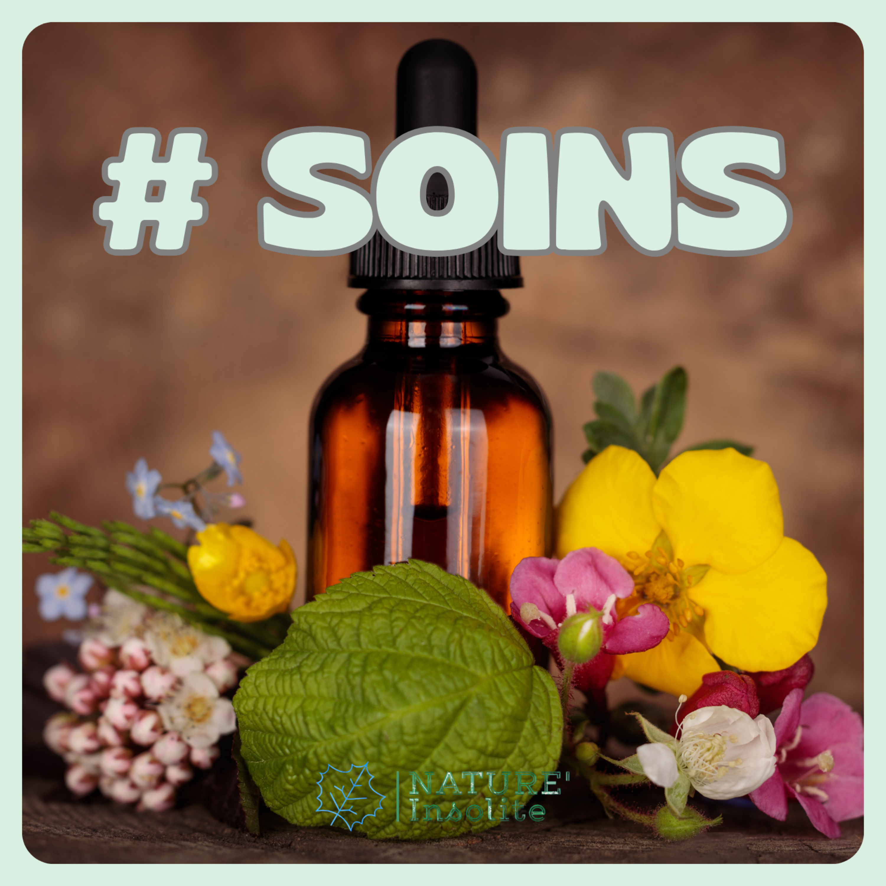 HORS-SÉRIE | Plantes & remèdes : le savoir qui soigne !