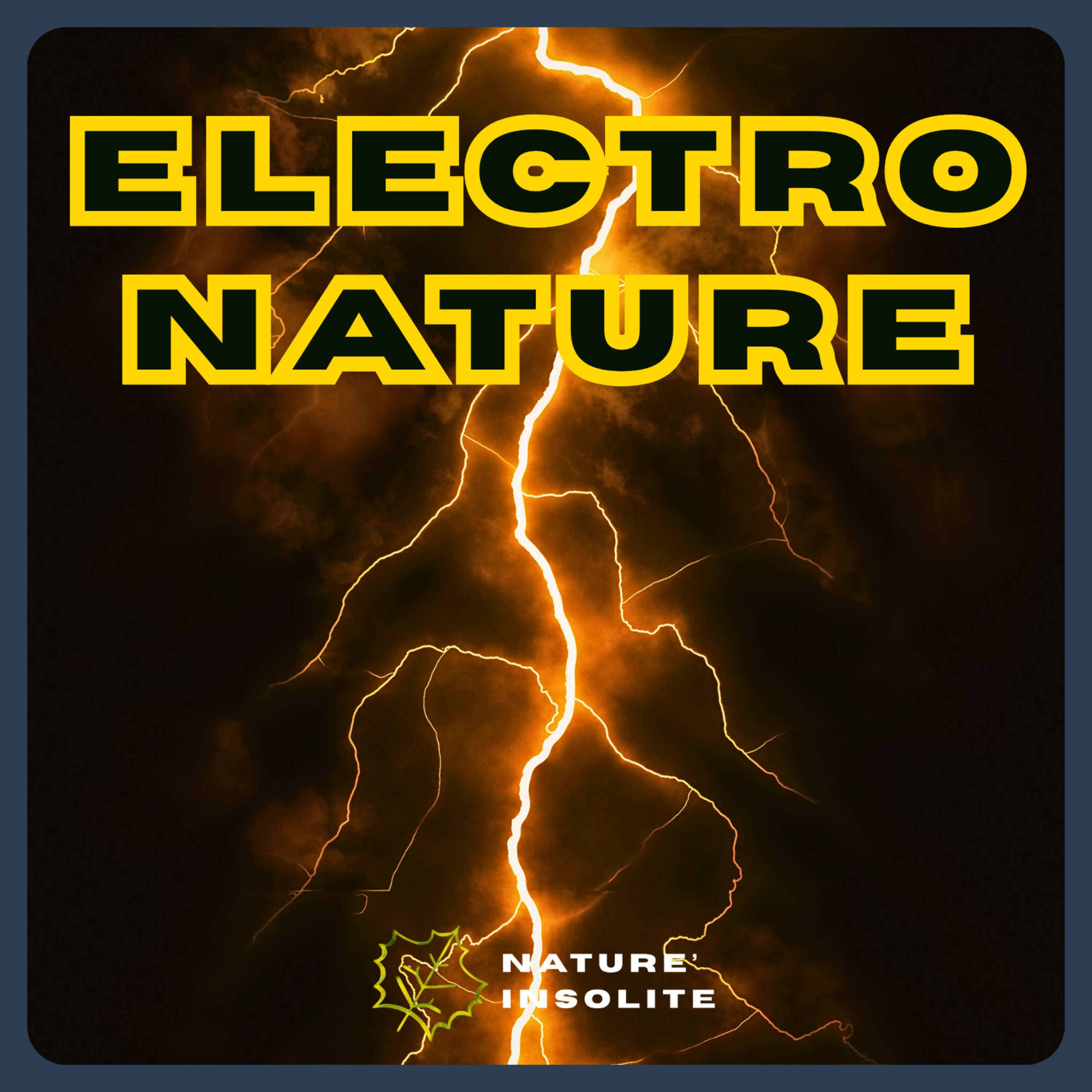 Bande-annonce : "ELECTRO-NATURE" - La Saison 6 arrive !
