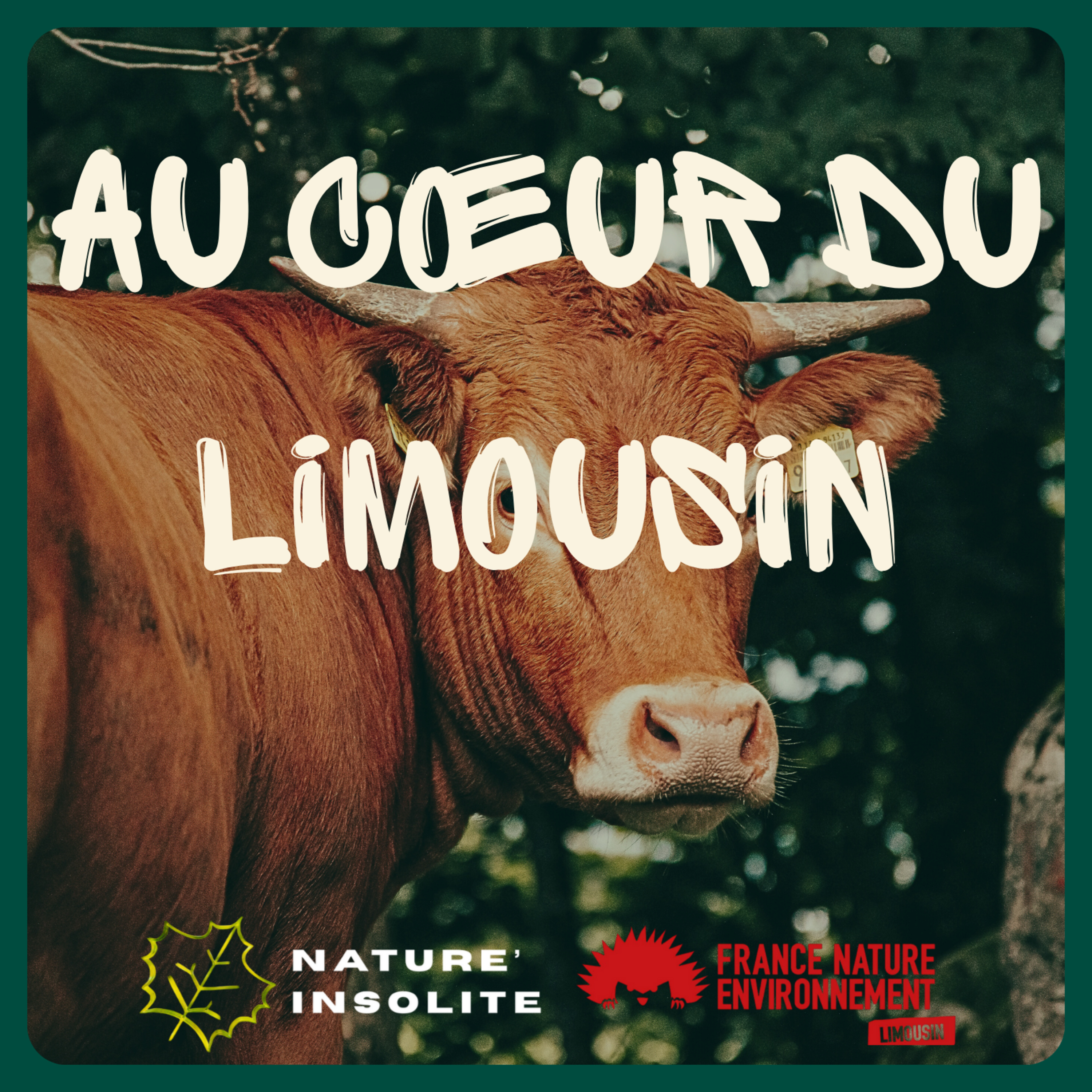 S07 E001 | Le Limousin, un territoire humide à re-découvrir