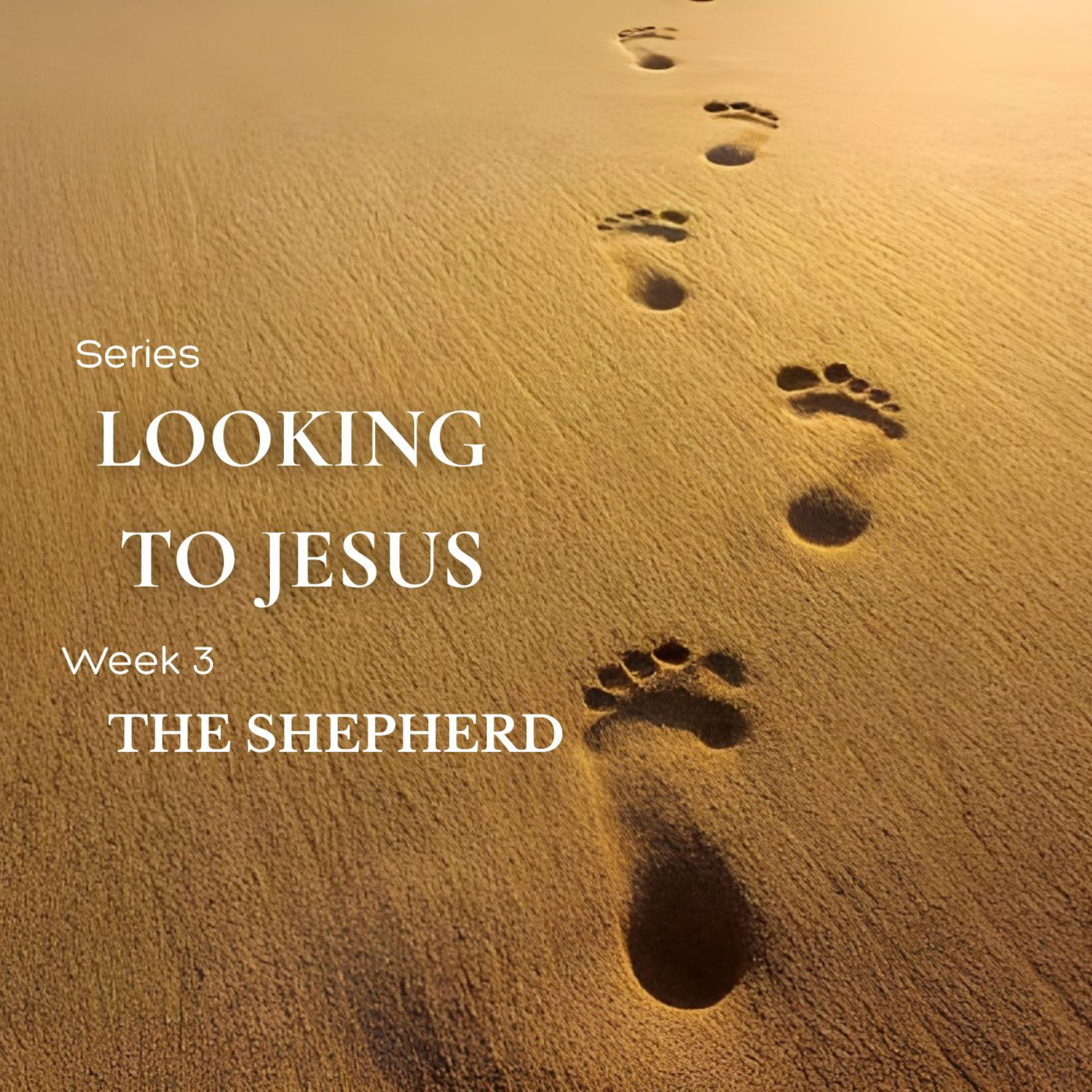 Looking To Jesus - Week 3 : The Shepherd
