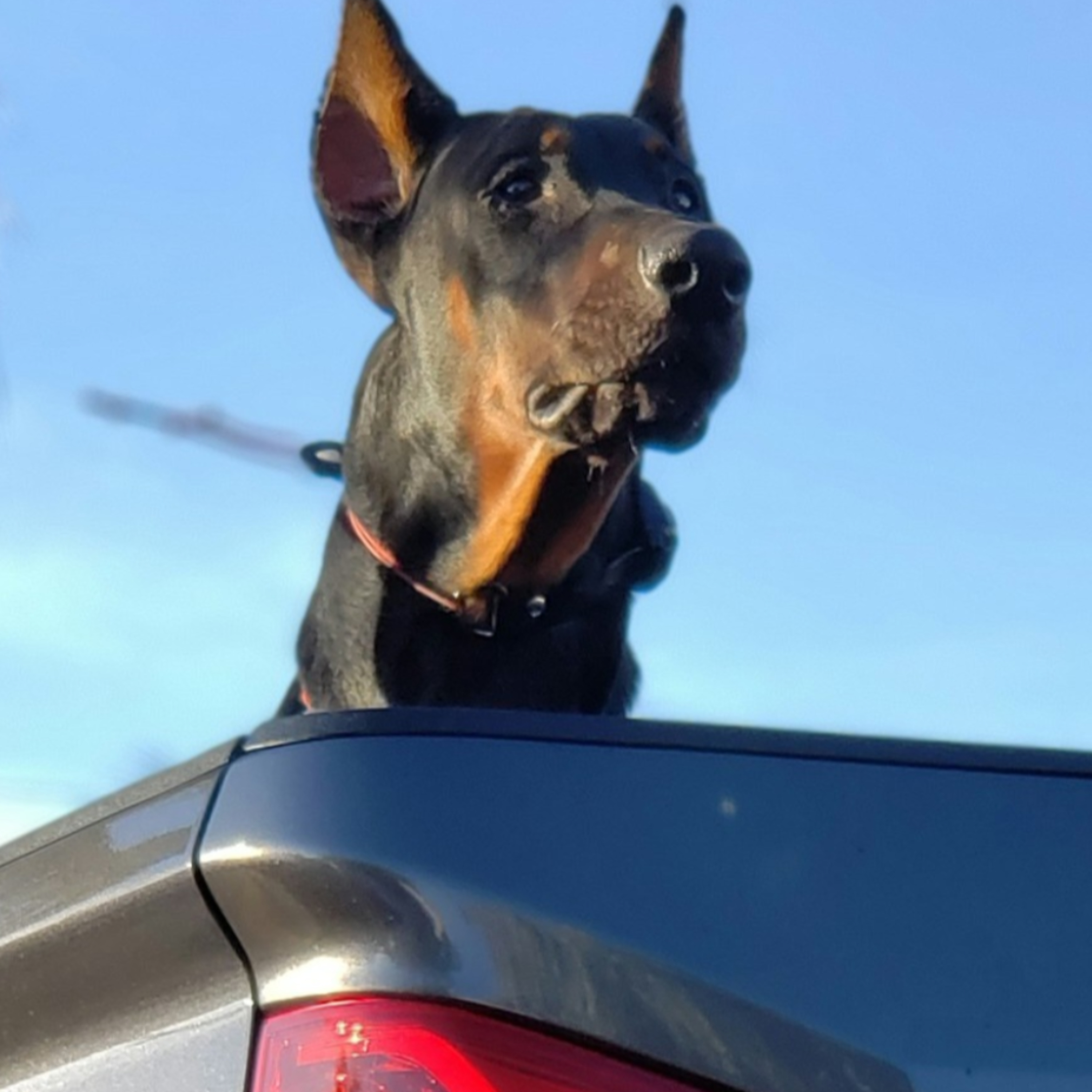 #1 Aziende poco serie