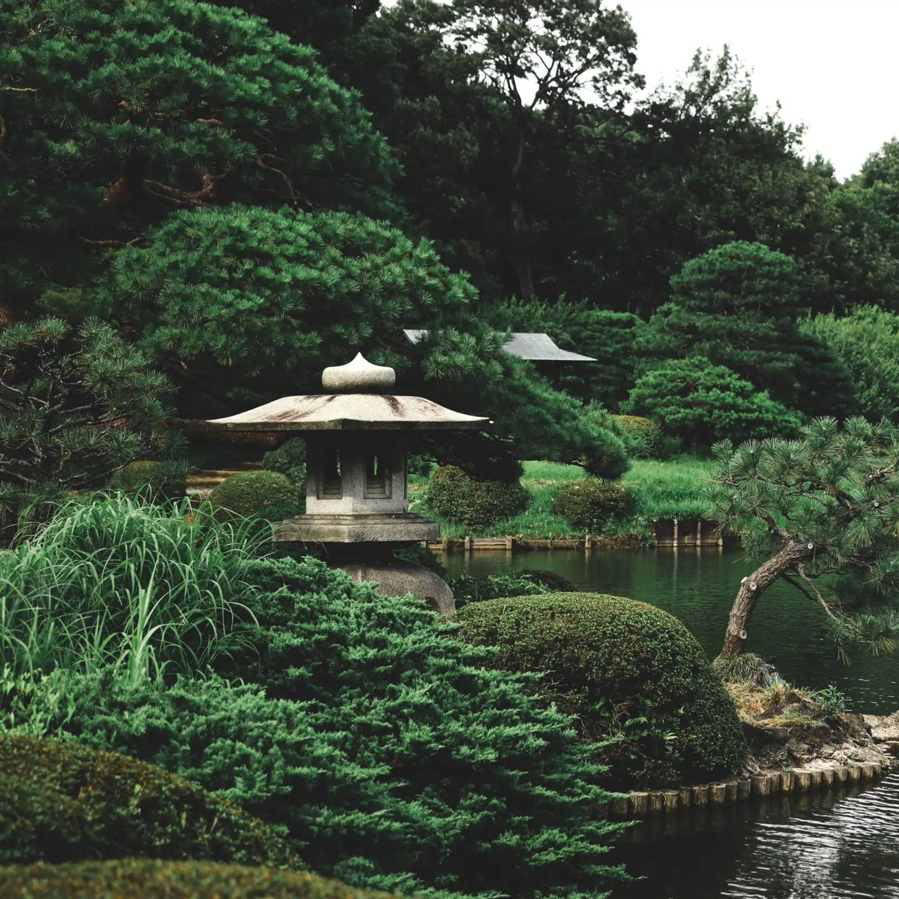 Il paradosso delle piante esotiche: perché l'Italia distrugge i suoi parchi