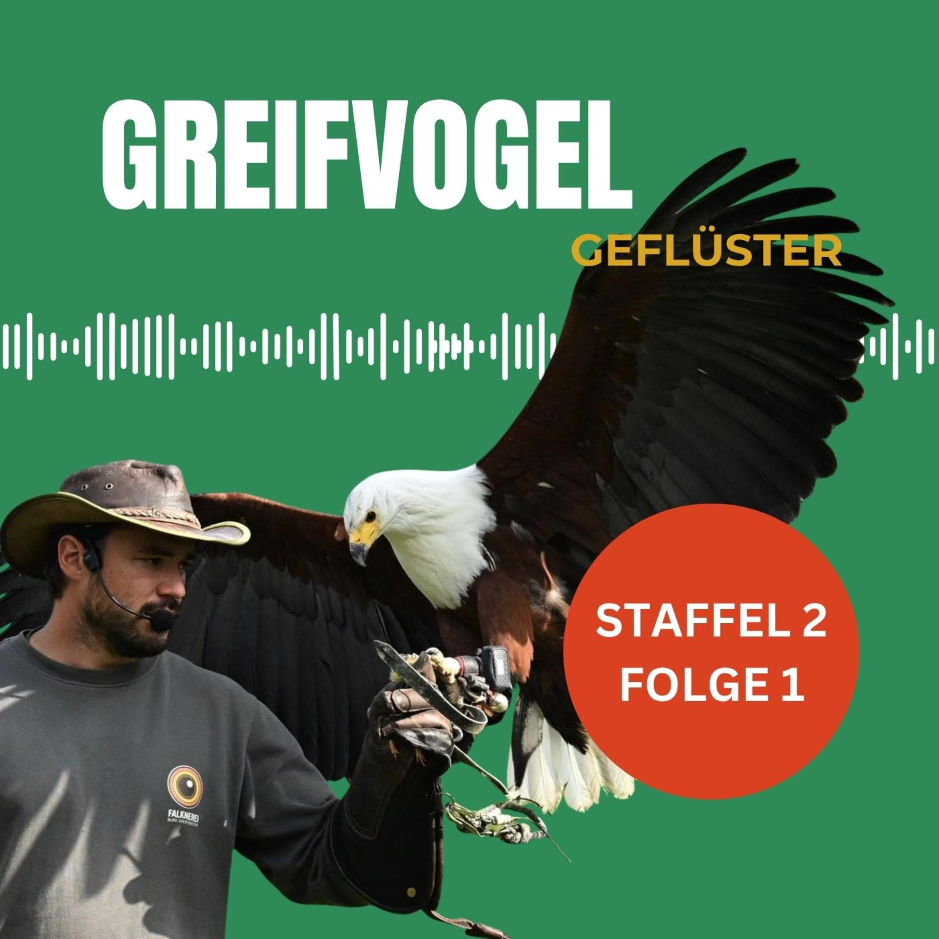 Charaktersache: Wie ticken die unterschiedlichen Greifv&ouml;gel und Falken - Interview mit Benedikt Nyssen von der Falknerei auf Burg Greifenstein in Th&uuml;ringen