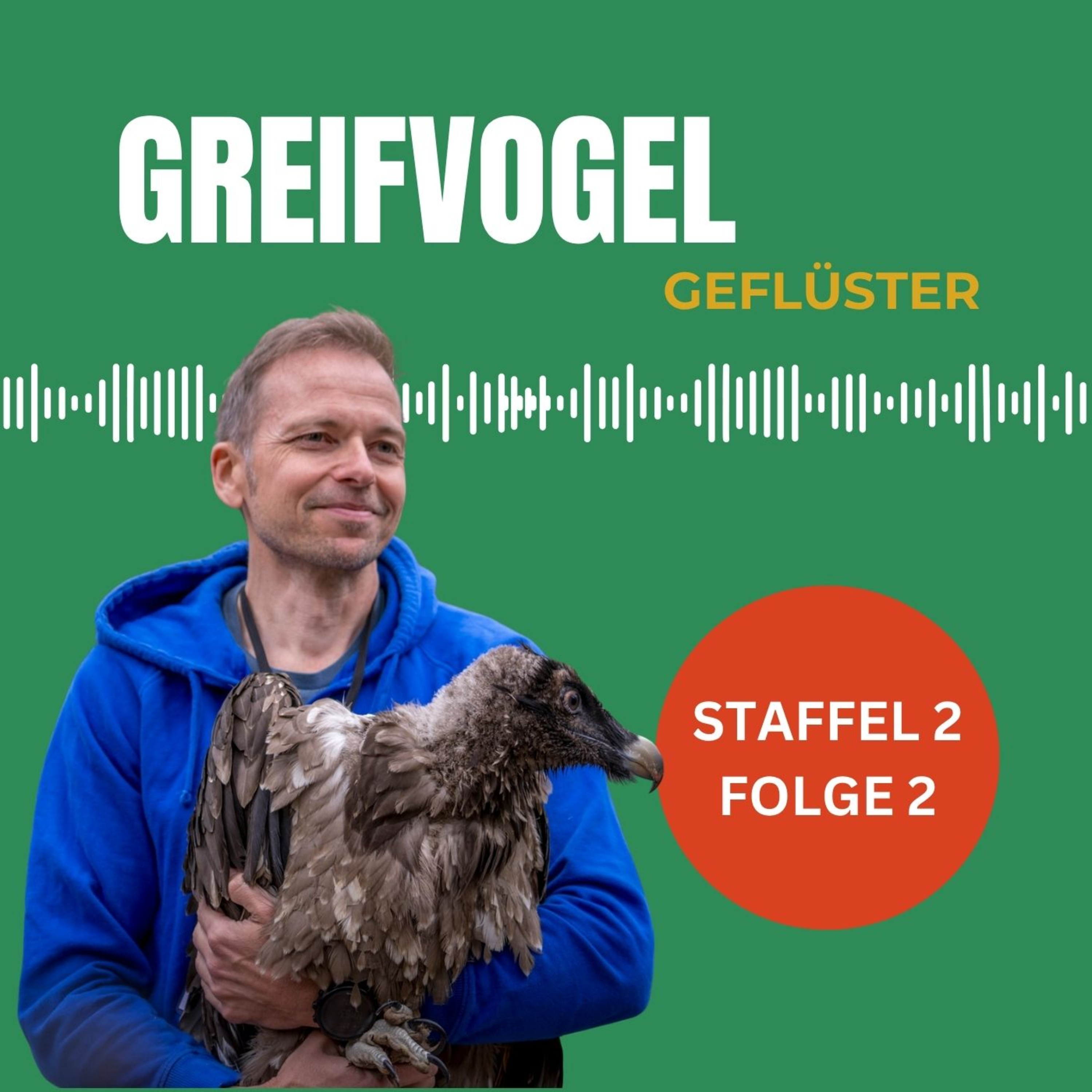 Die R&uuml;ckkehr des Bartgeiers: Ein Erfolgsgeschichte - Interview mit Toni Wegscheider vom LBV Landesbund f&uuml;r Vogel- und Naturschutz in Bayern e.V. 