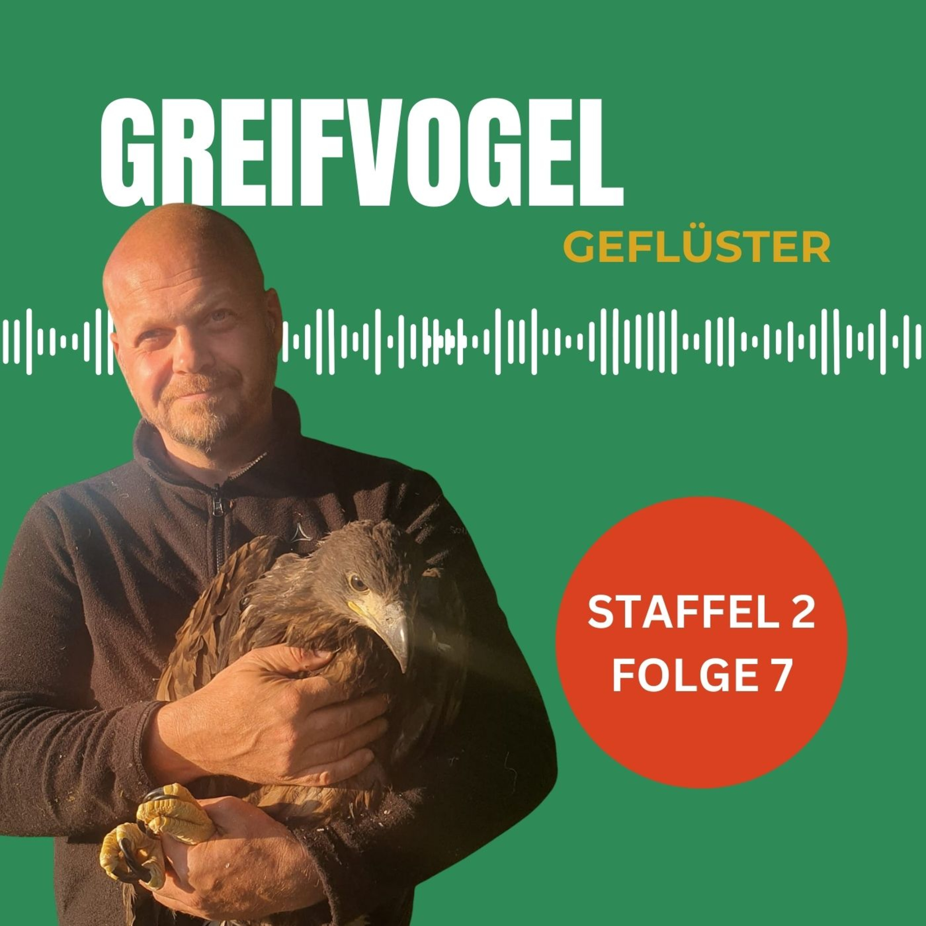 Artenschutzprojekt Seeadler in Mecklenburg Vorpommern - Interview mit Ren&eacute; Feige